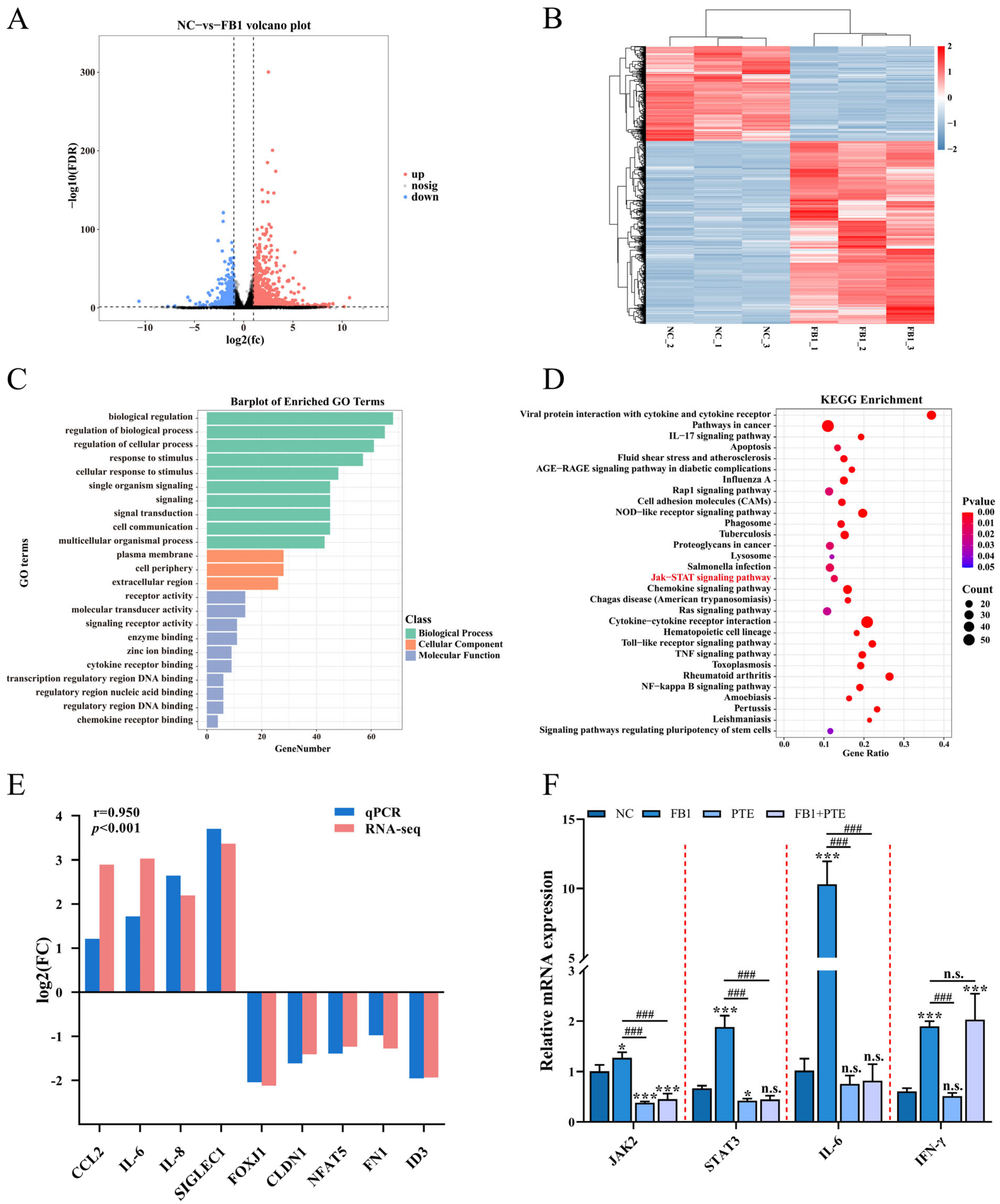 Antioxidants 11 02360 g006