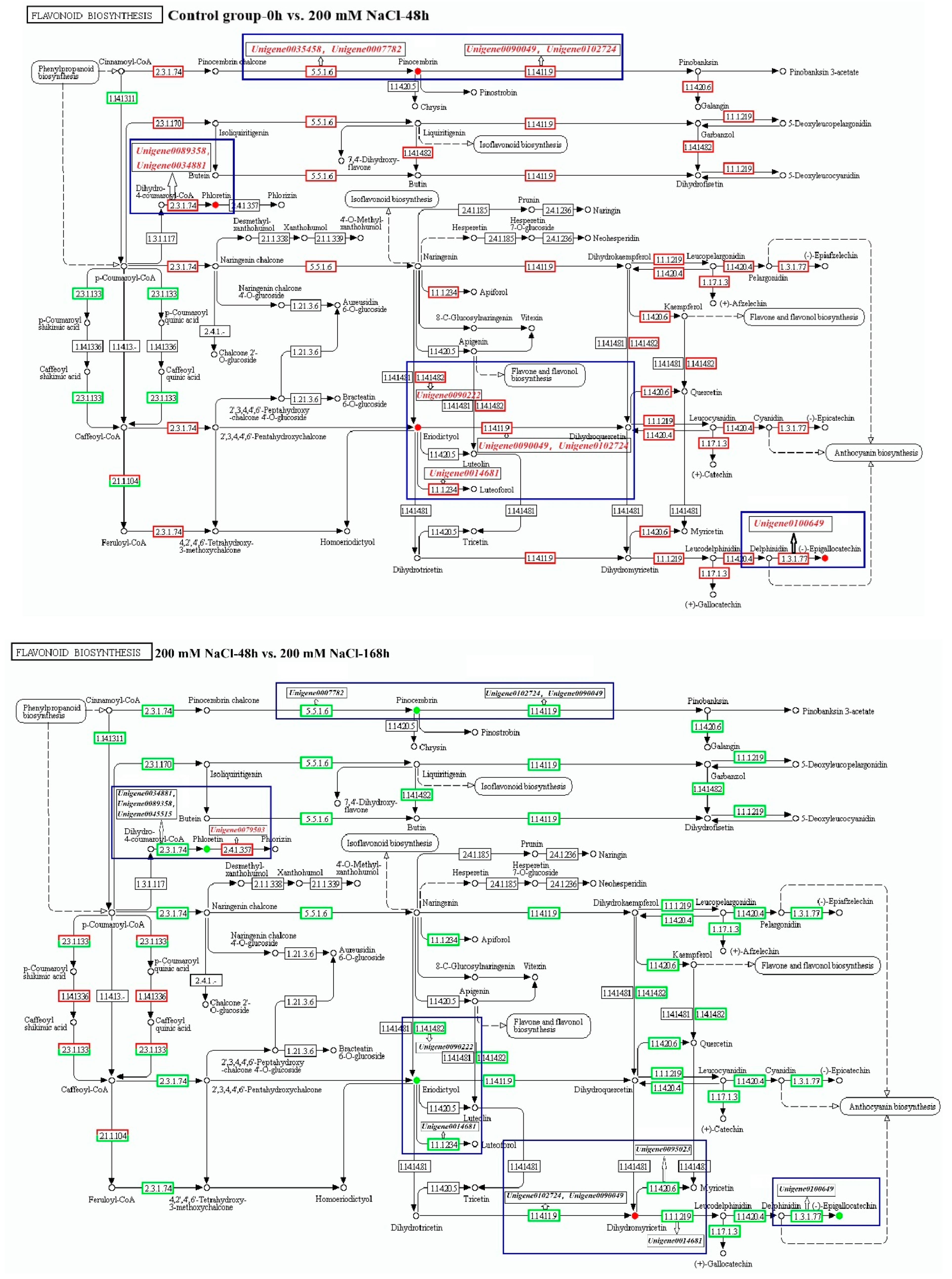 Antioxidants 11 02362 g003a