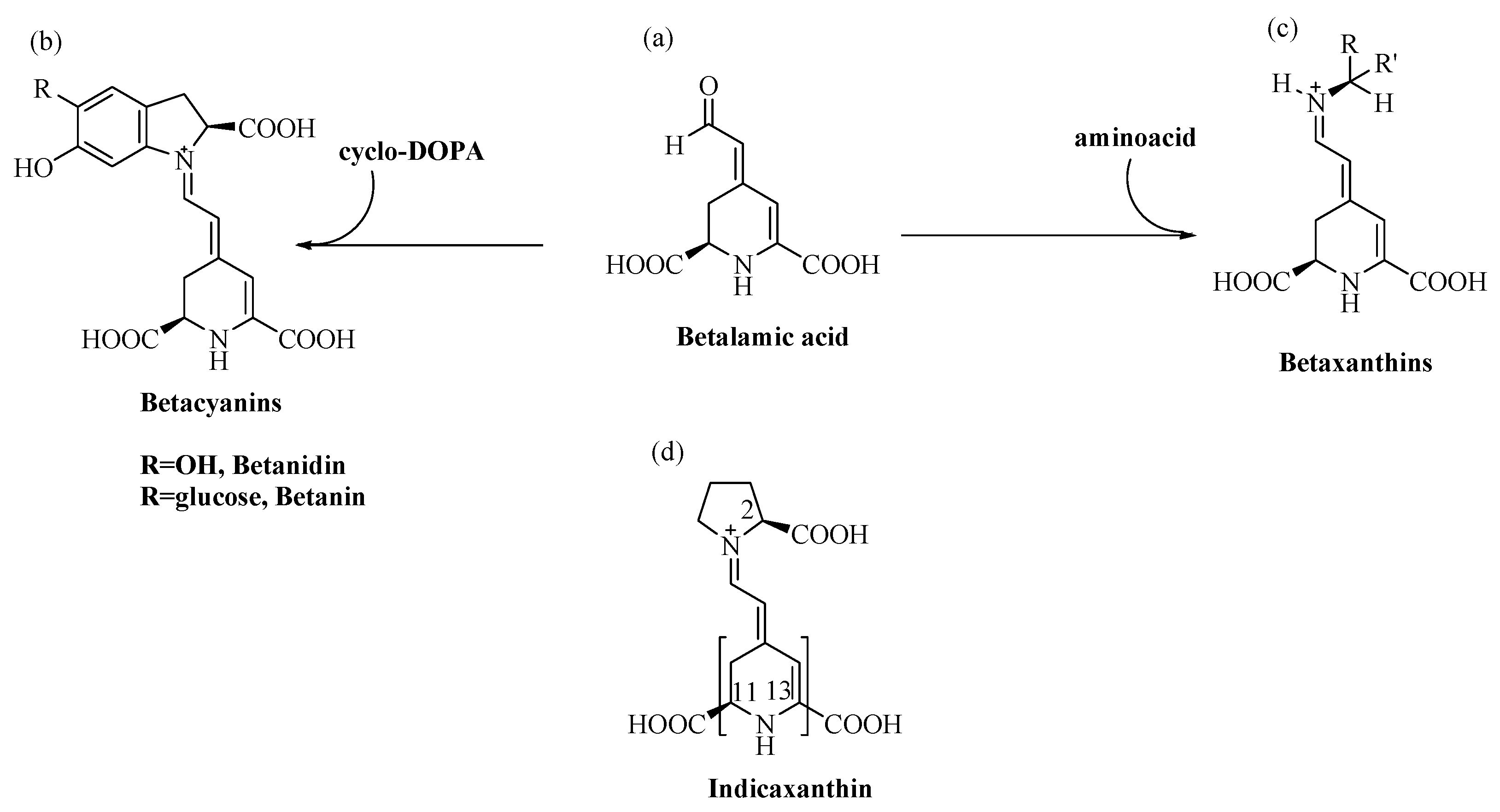 Antioxidants 11 02364 g001 Antioxidants 11 02364 g001