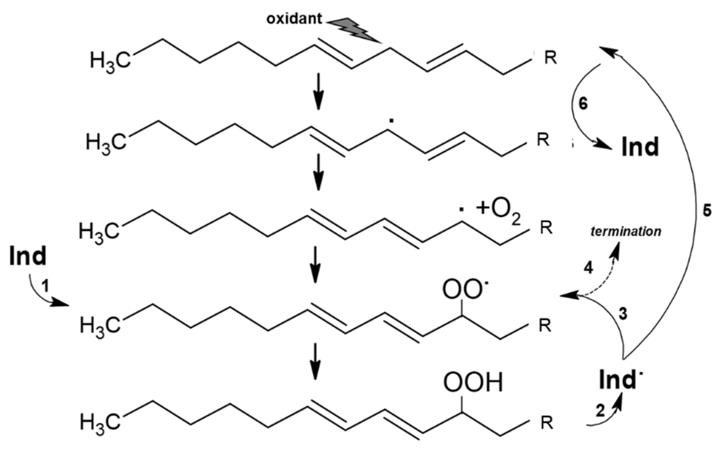 Antioxidants 11 02364 g002 Antioxidants 11 02364 g002