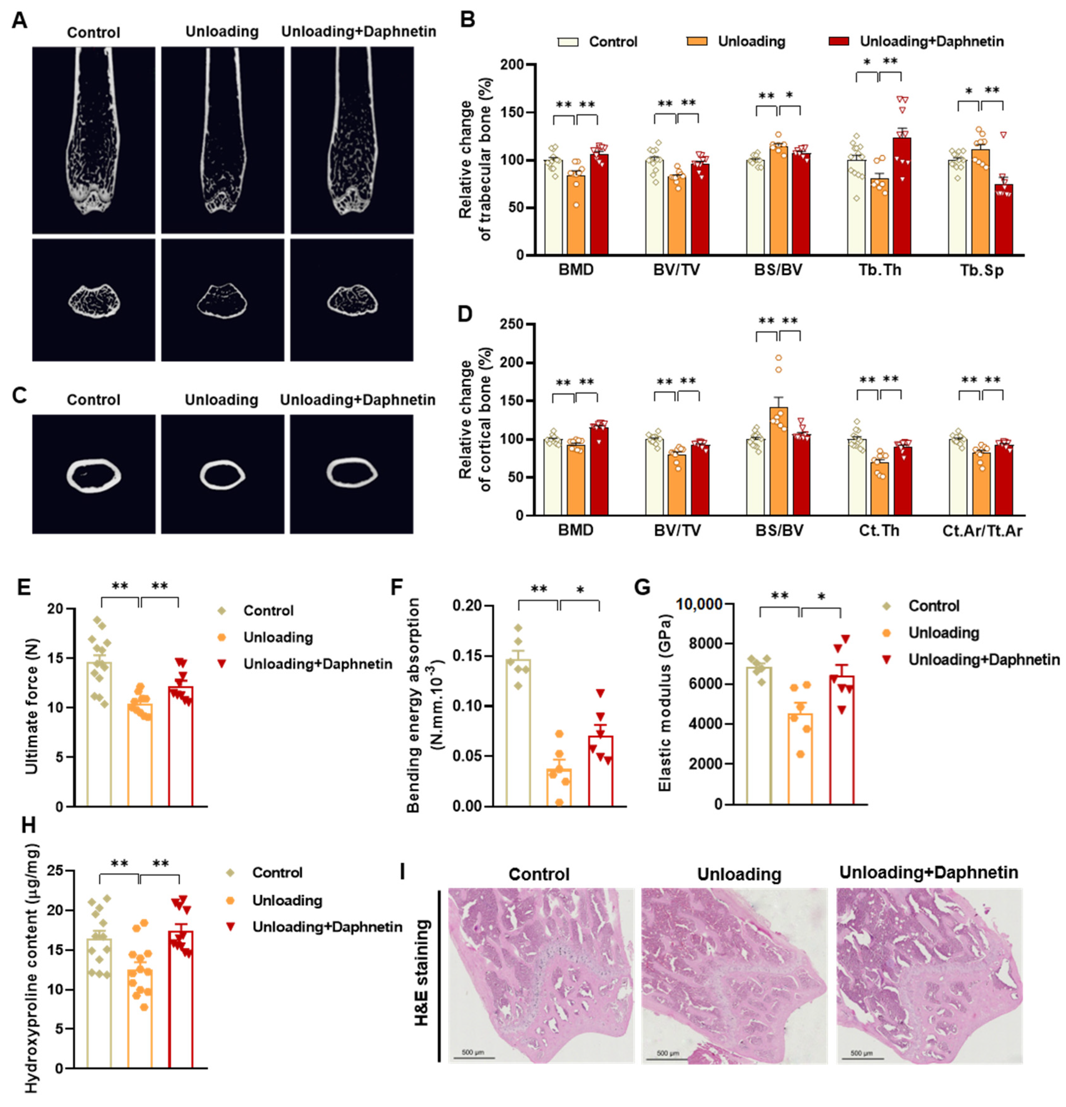 Antioxidants 11 02365 g002