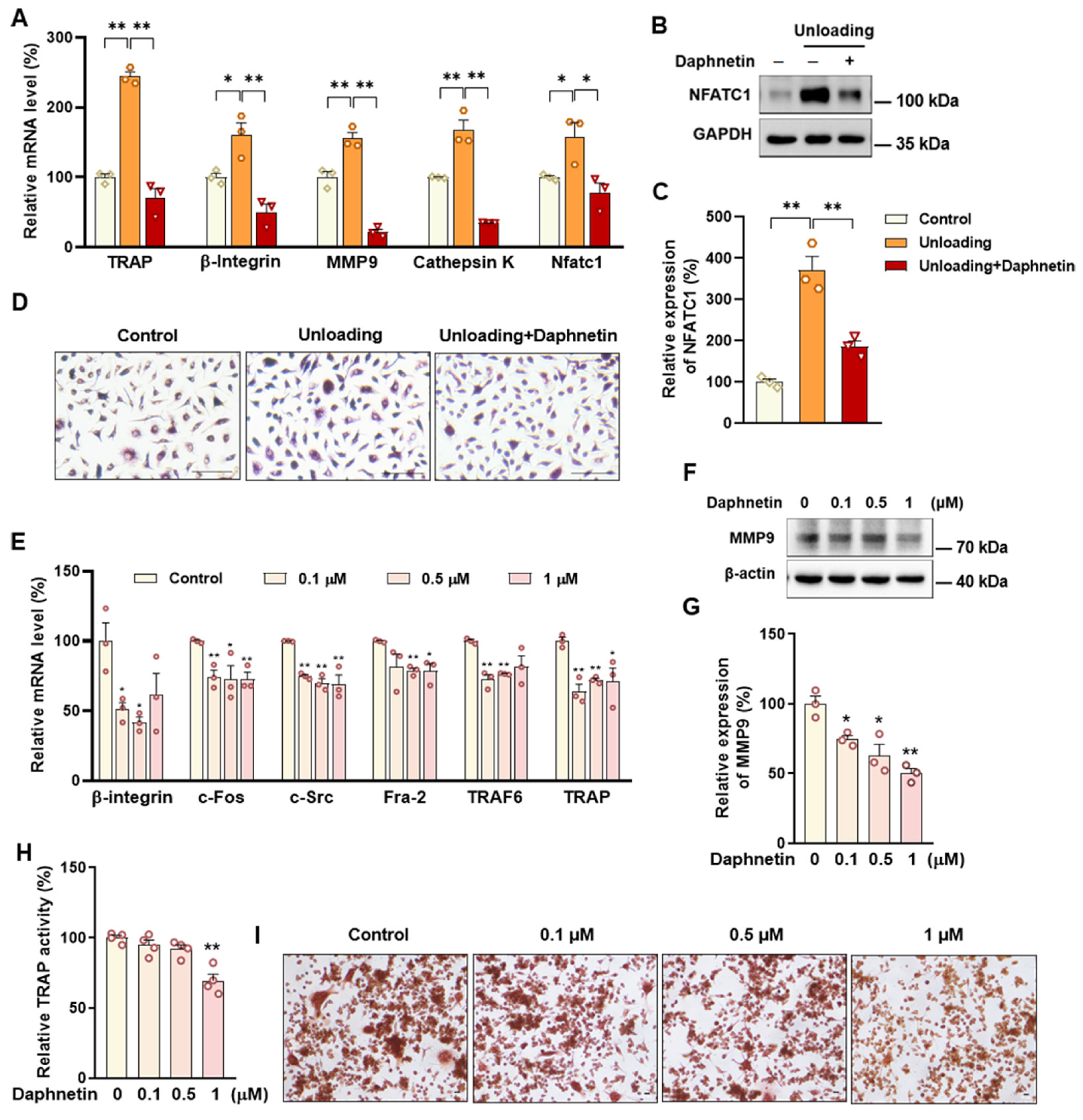 Antioxidants 11 02365 g006