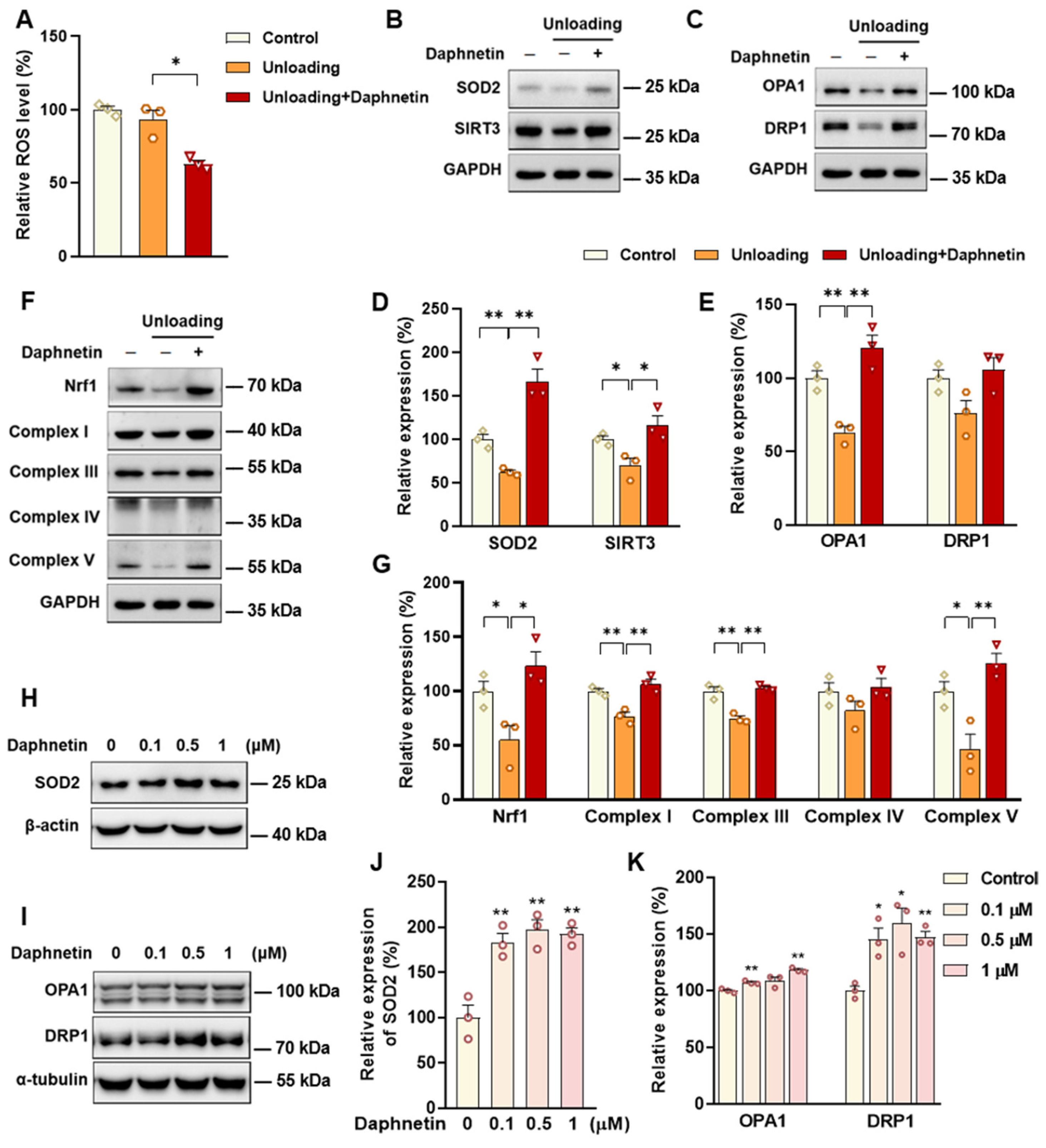 Antioxidants 11 02365 g007