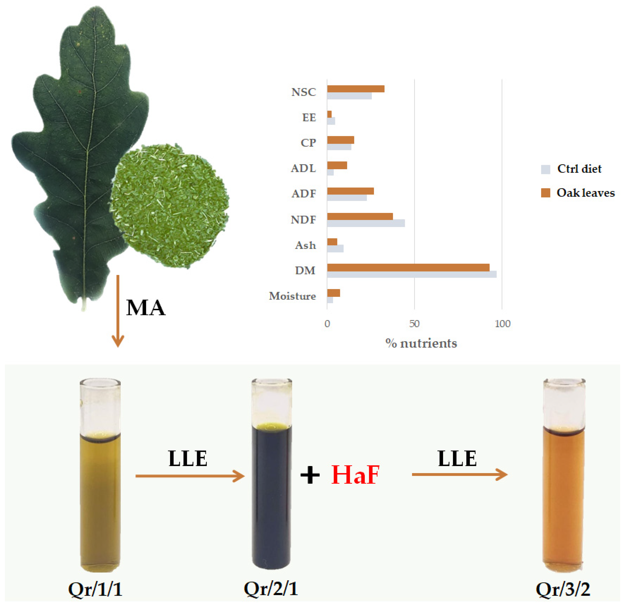 Antioxidants 11 02366 g001 Antioxidants 11 02366 g001
