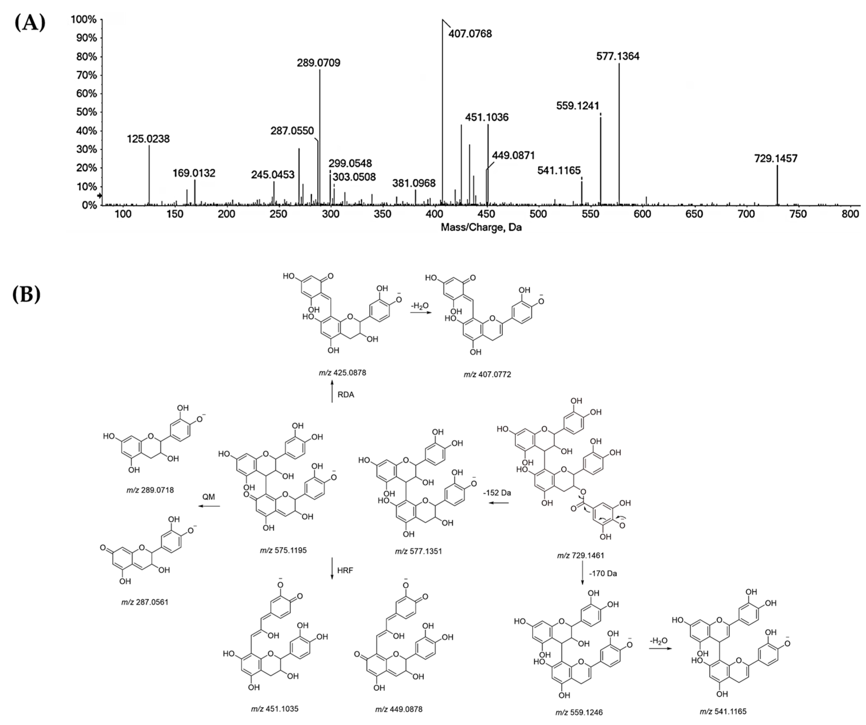 Antioxidants 11 02366 g005 Antioxidants 11 02366 g005
