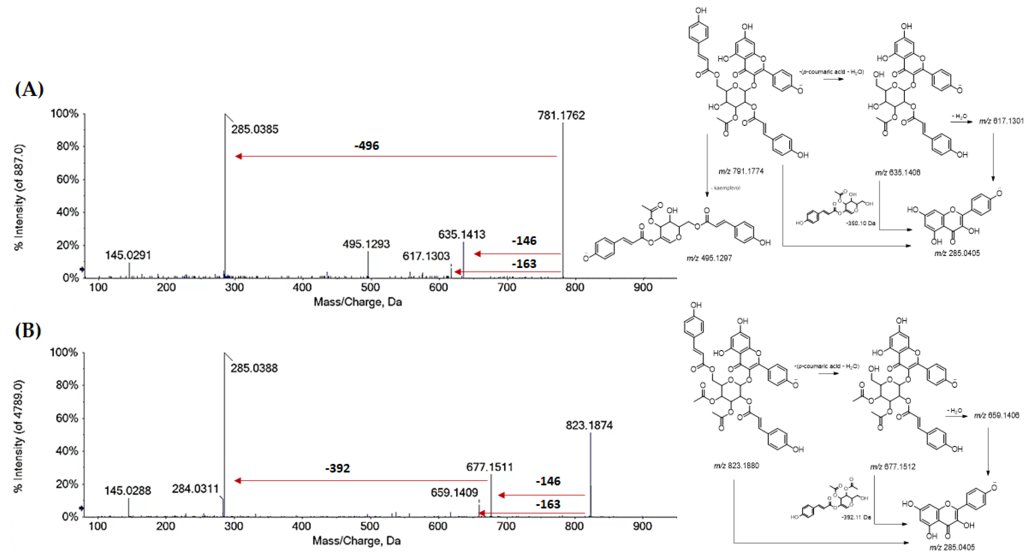 Antioxidants 11 02366 g006 Antioxidants 11 02366 g006