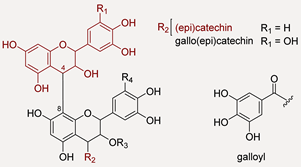 Antioxidants 11 02366 i001 Antioxidants 11 02366 i001