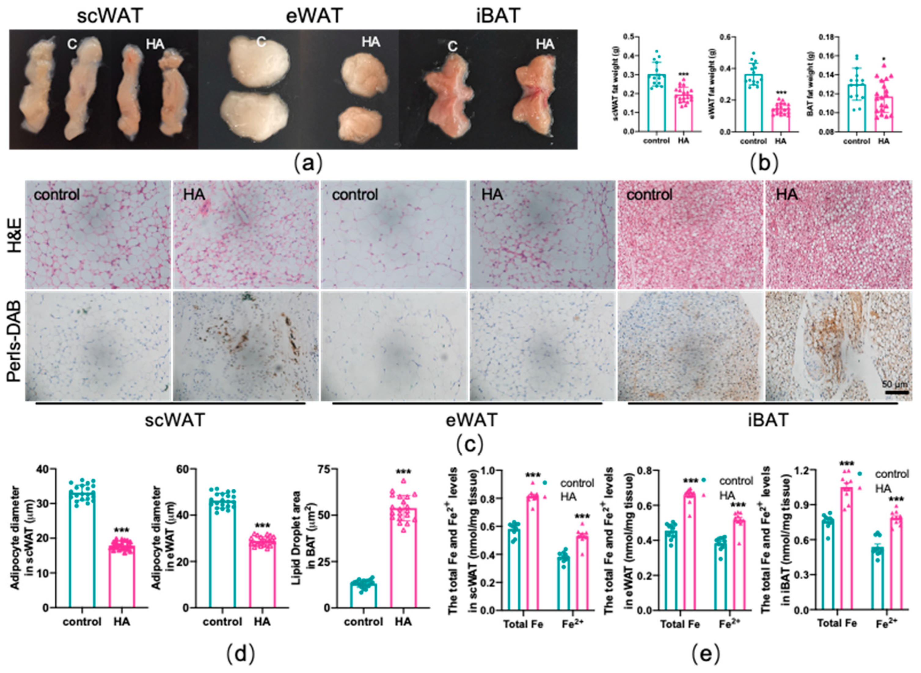 Antioxidants 11 02367 g002 Antioxidants 11 02367 g002