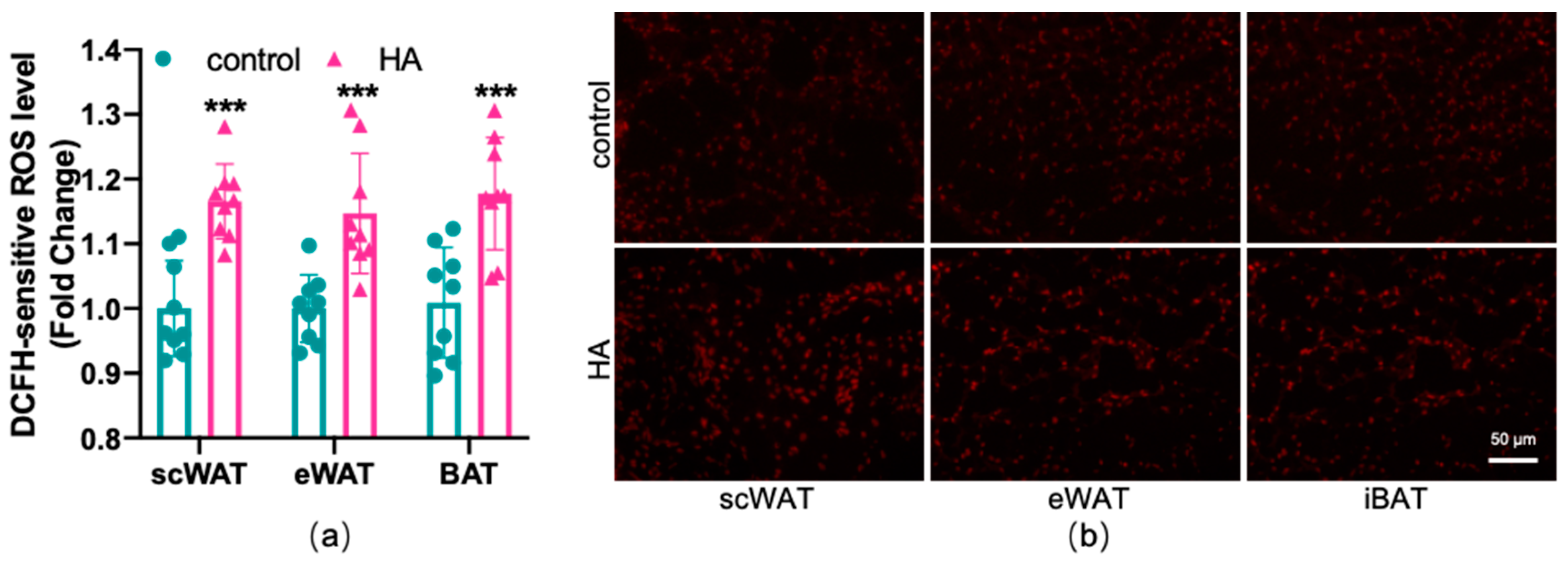 Antioxidants 11 02367 g003 Antioxidants 11 02367 g003