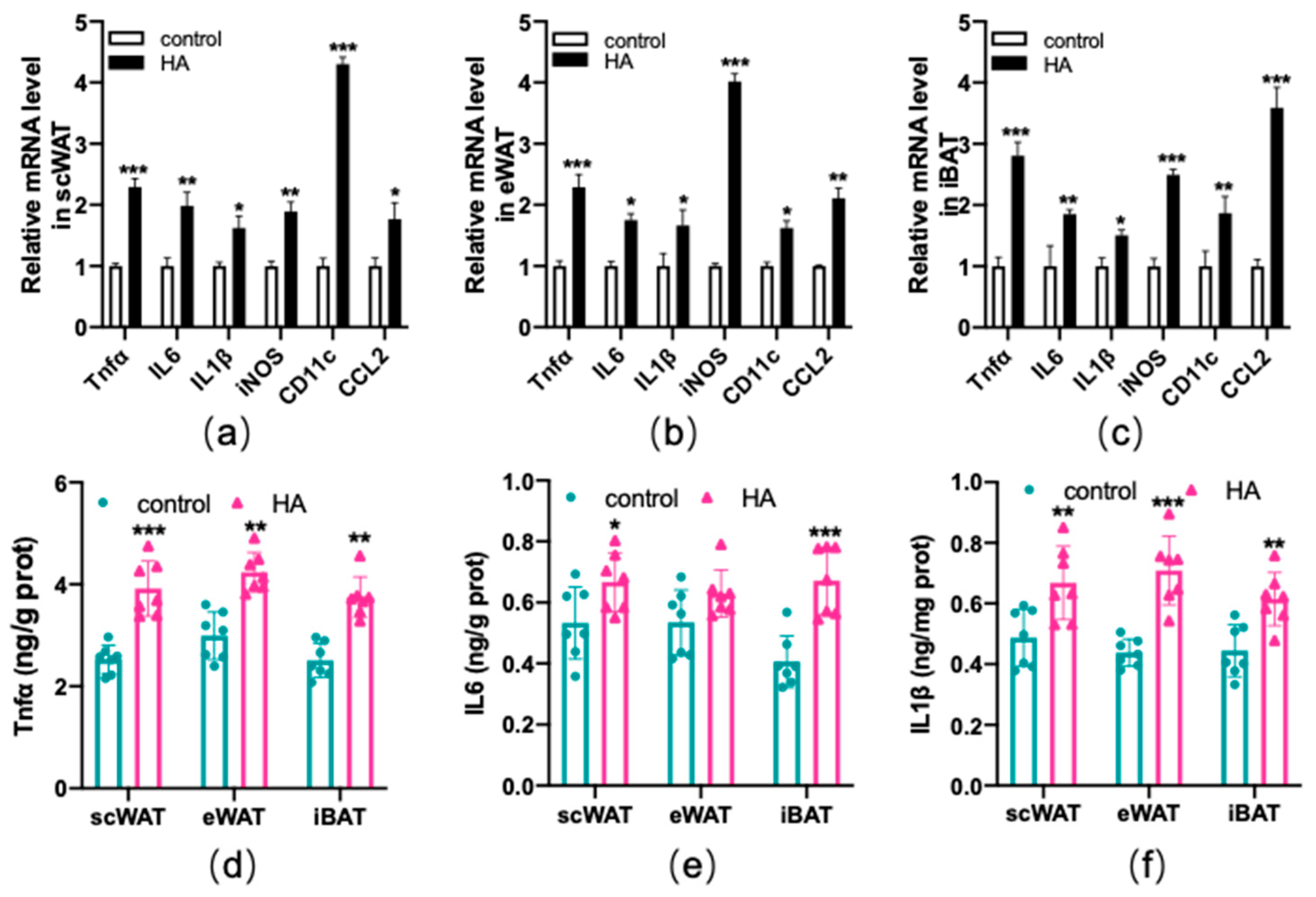 Antioxidants 11 02367 g005 Antioxidants 11 02367 g005