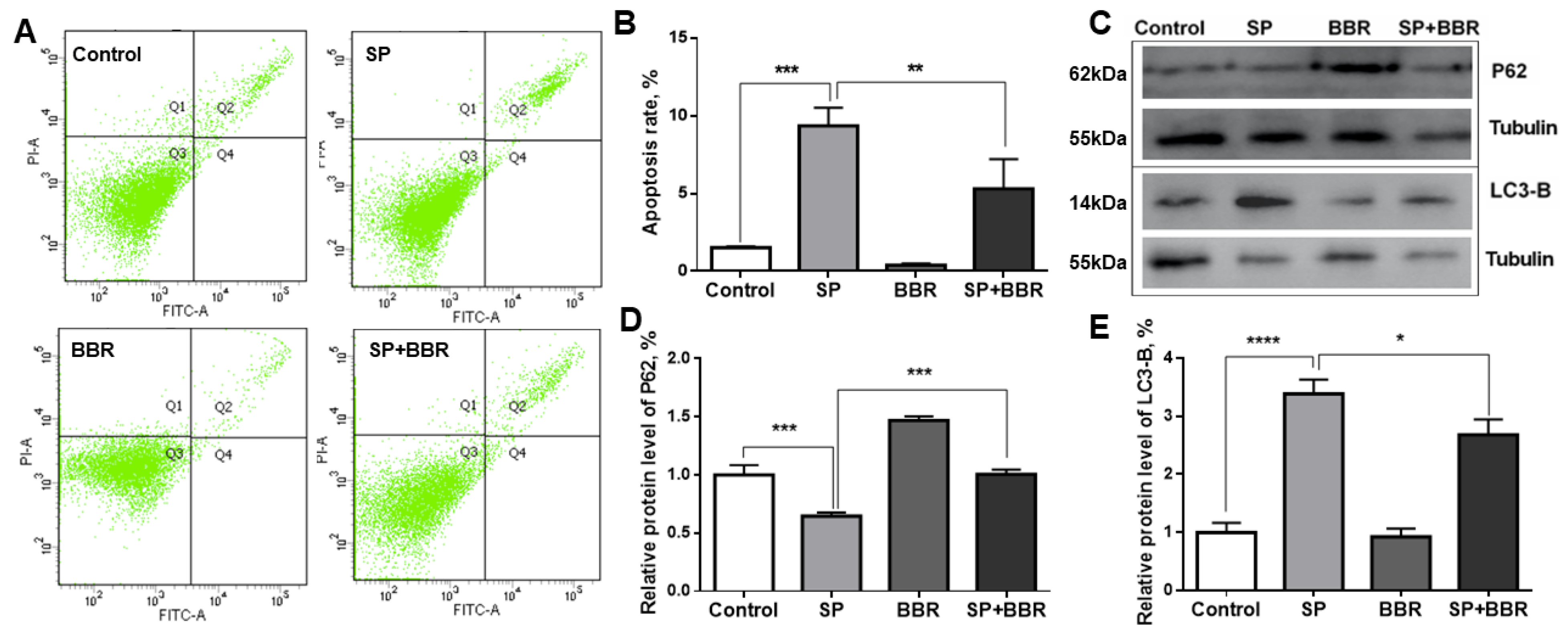 Antioxidants 11 02370 g002 Antioxidants 11 02370 g002