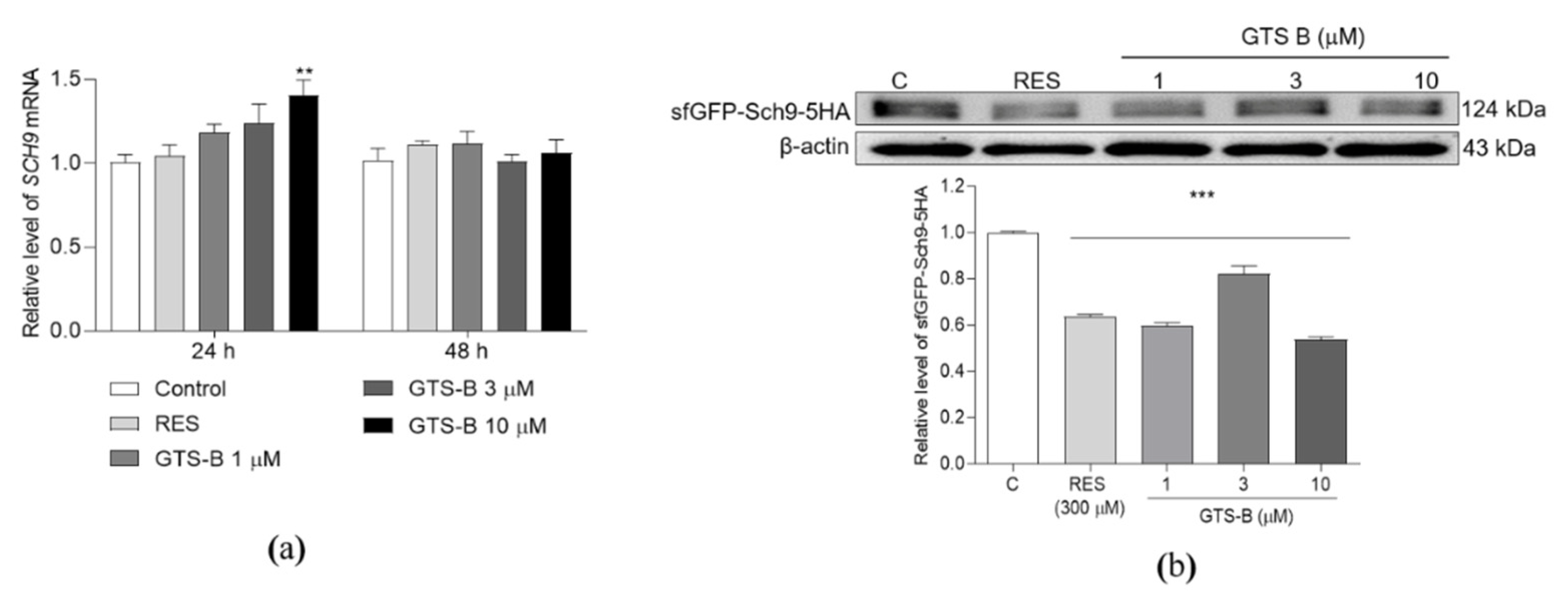 Antioxidants 11 02373 g003 Antioxidants 11 02373 g003
