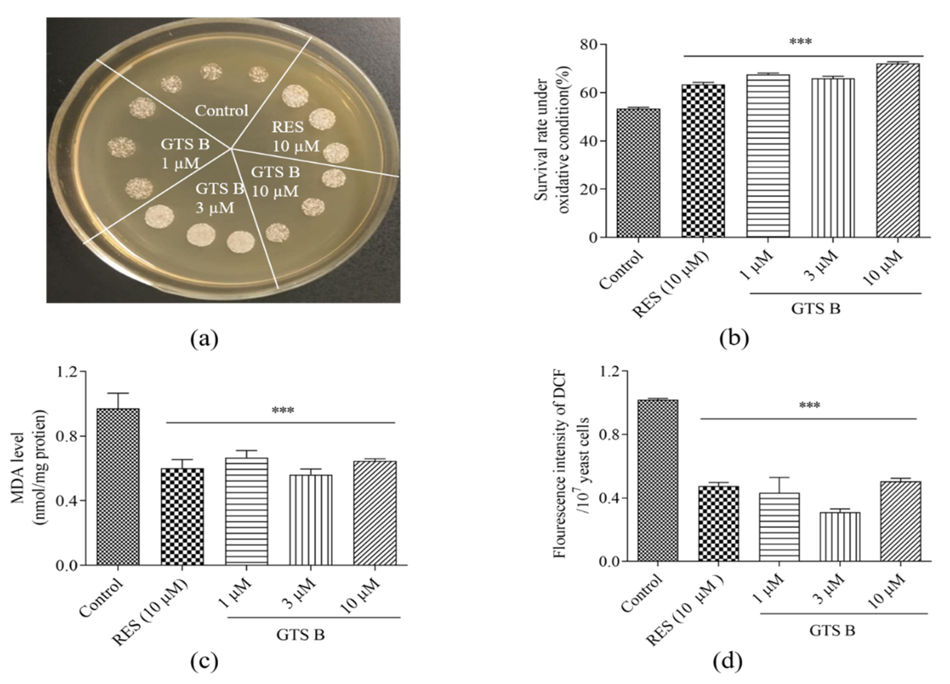 Antioxidants 11 02373 g007 Antioxidants 11 02373 g007