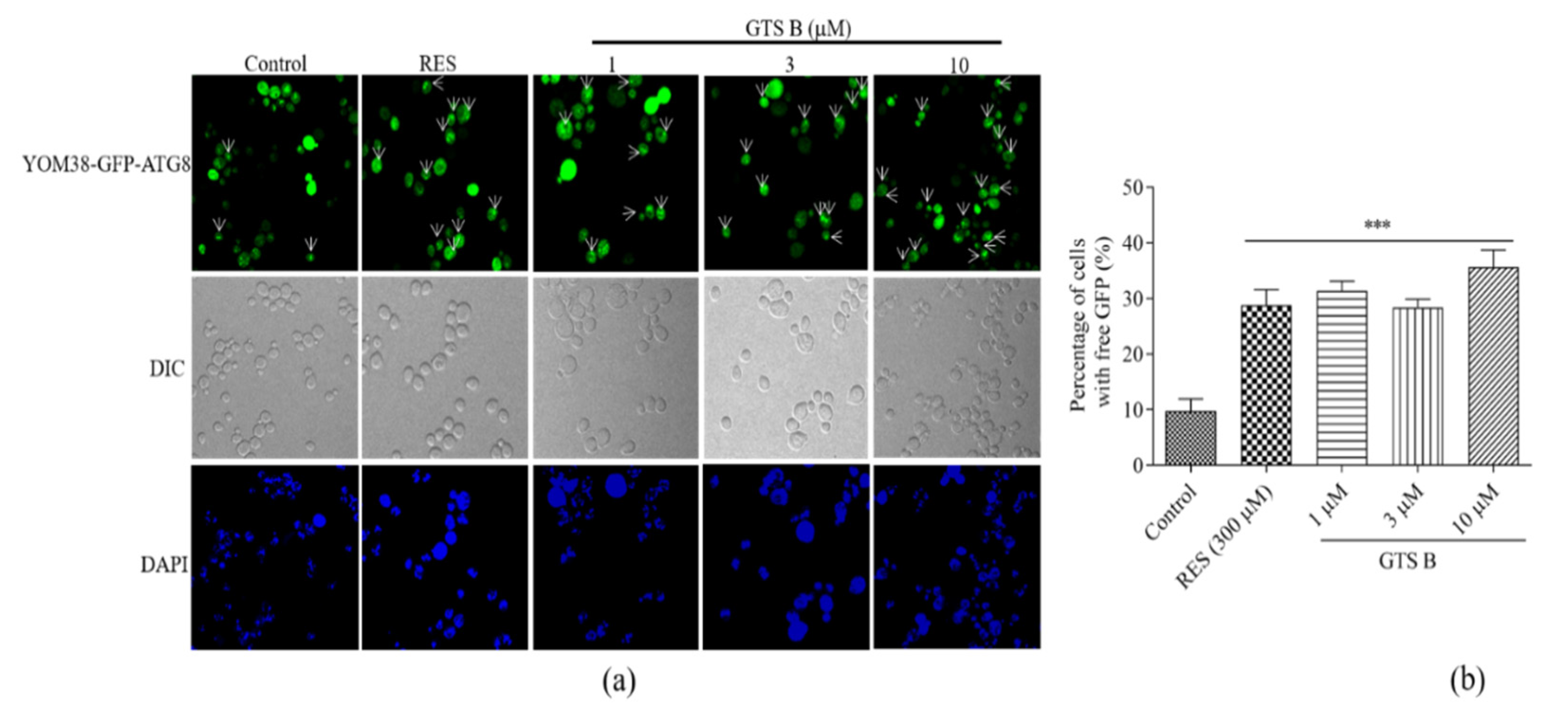 Antioxidants 11 02373 g009 Antioxidants 11 02373 g009