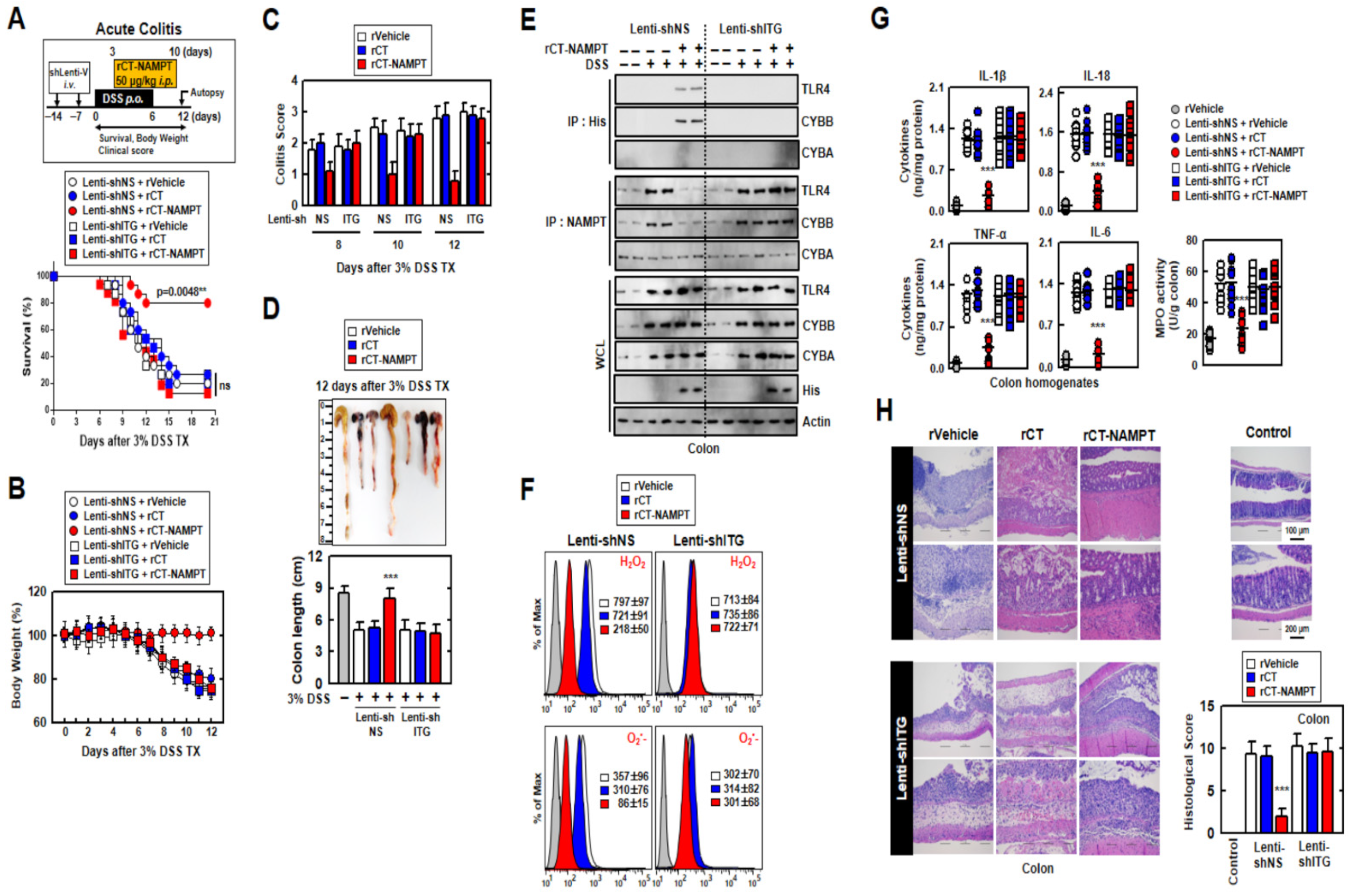 Antioxidants 11 02376 g006