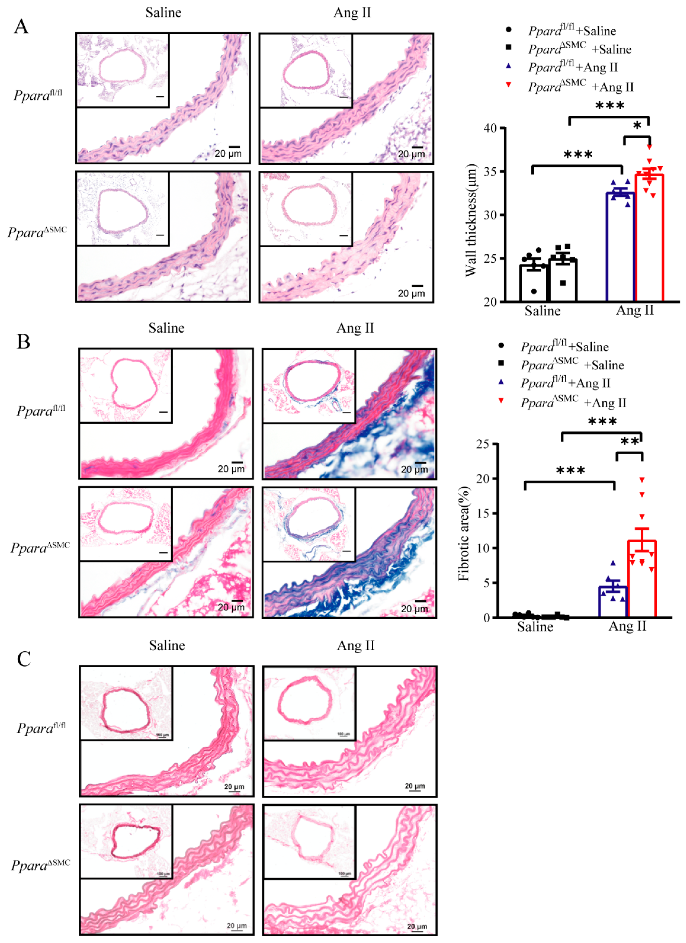 Antioxidants 11 02378 g003