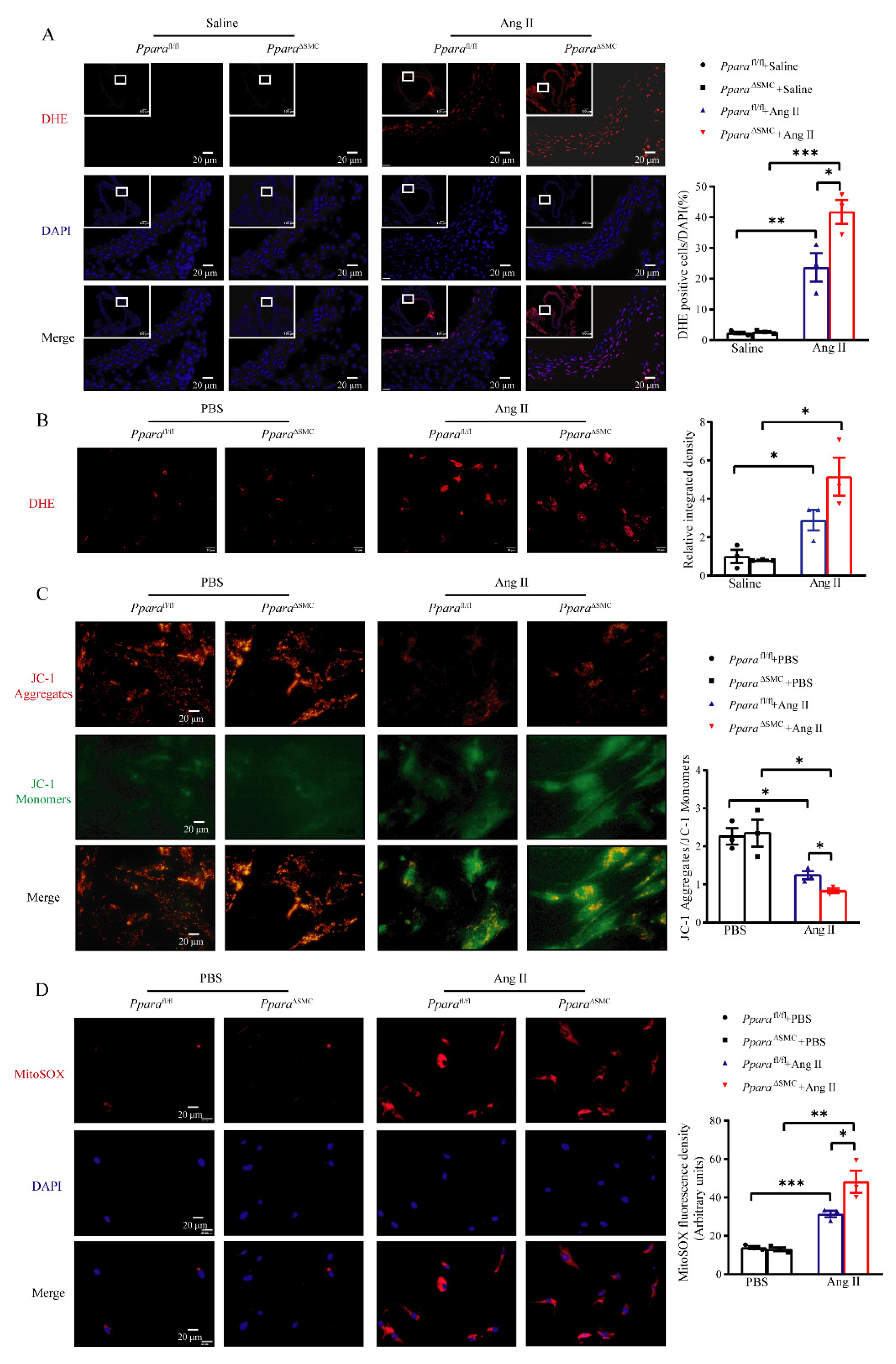 Antioxidants 11 02378 g004