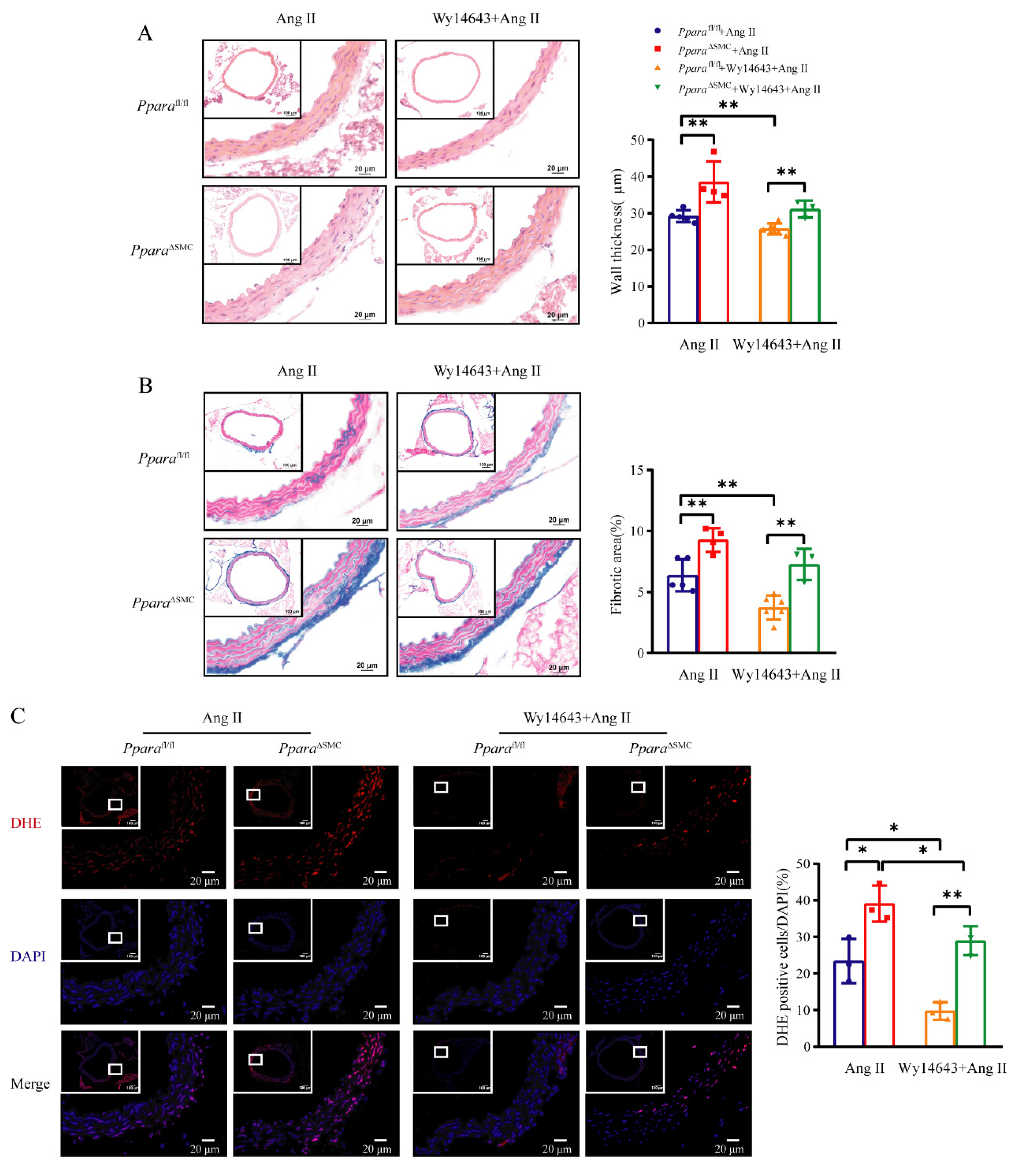 Antioxidants 11 02378 g006