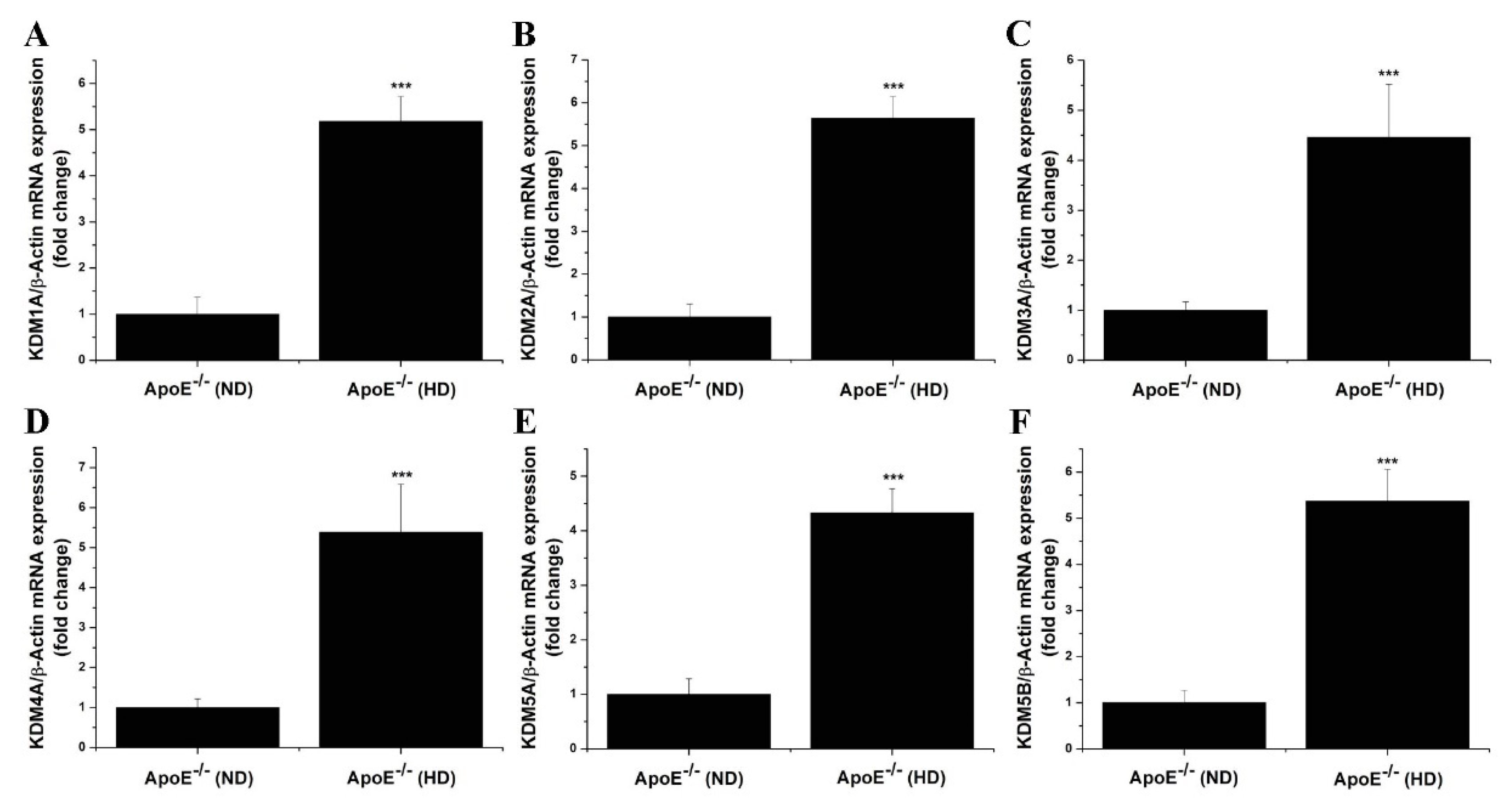 Antioxidants 11 02382 g003 Antioxidants 11 02382 g003