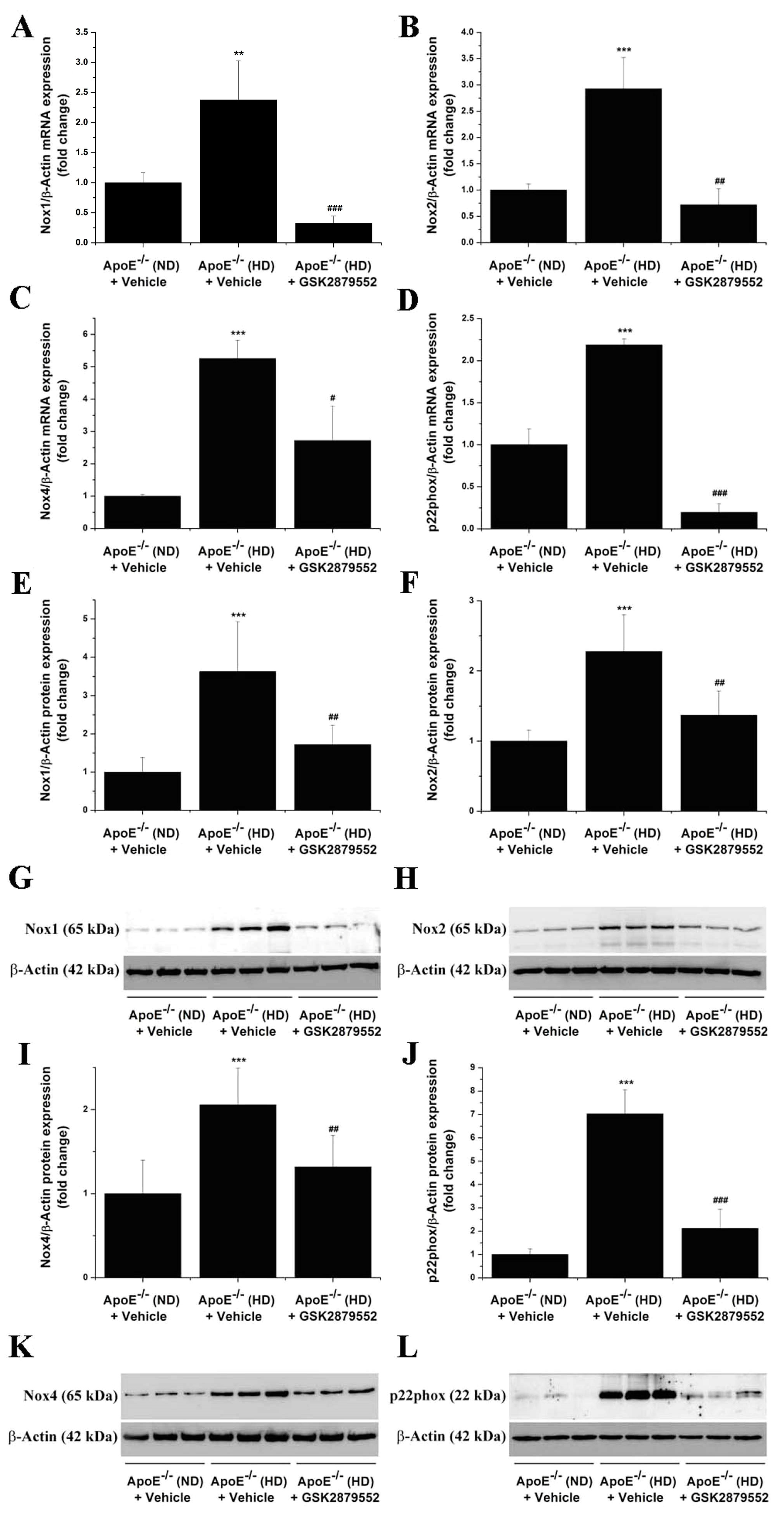 Antioxidants 11 02382 g006 Antioxidants 11 02382 g006