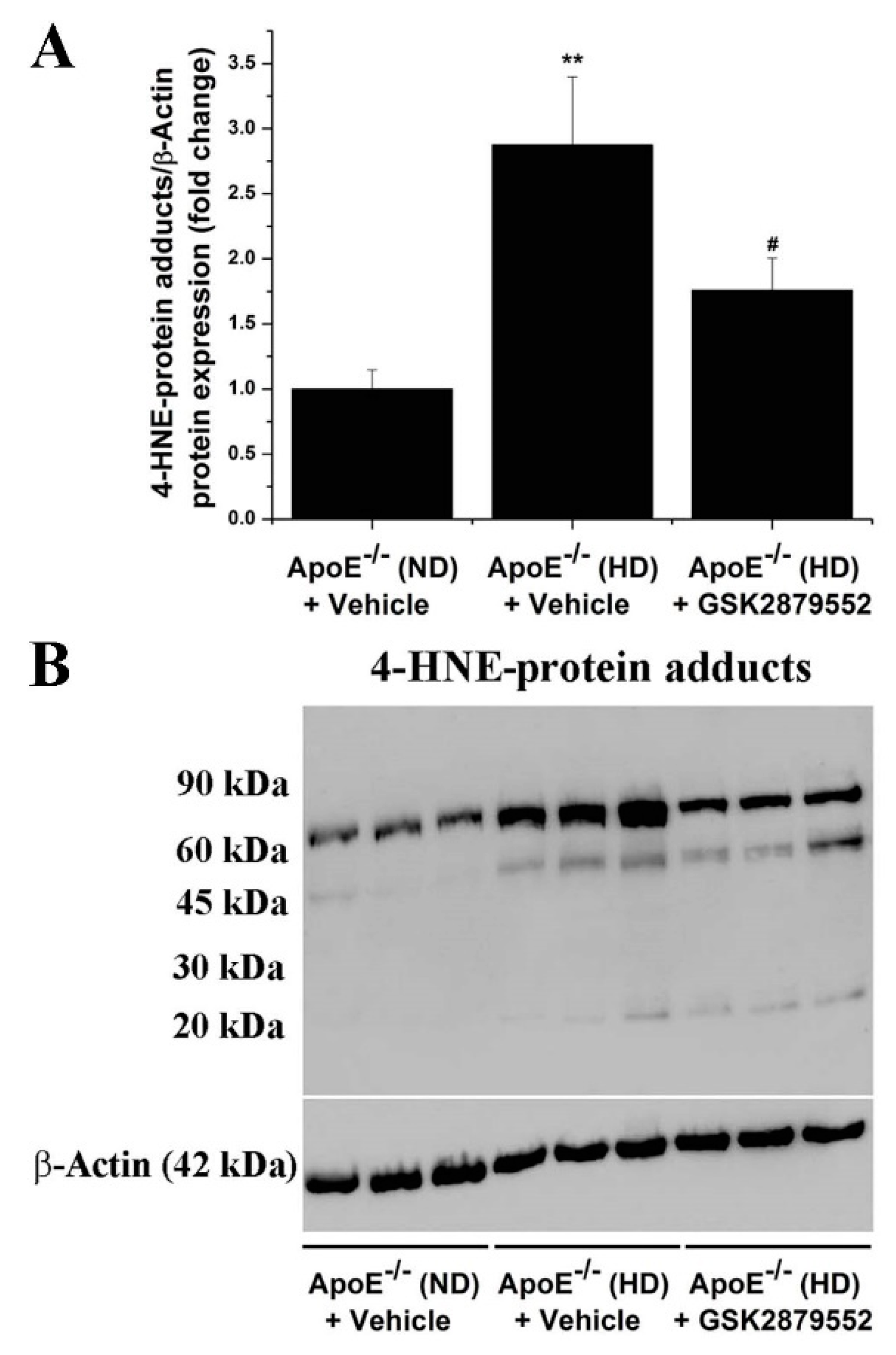 Antioxidants 11 02382 g007 Antioxidants 11 02382 g007