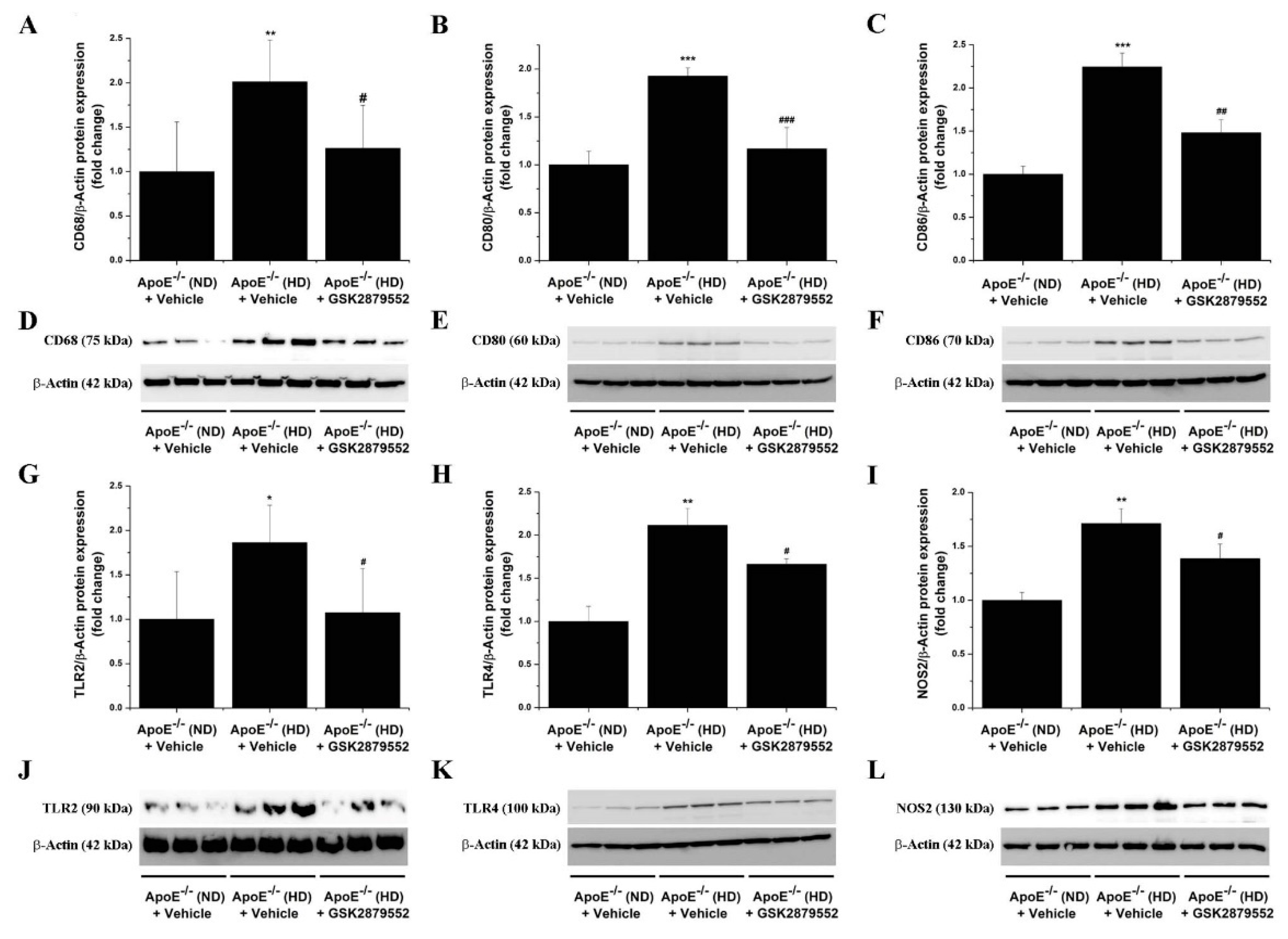 Antioxidants 11 02382 g008 Antioxidants 11 02382 g008