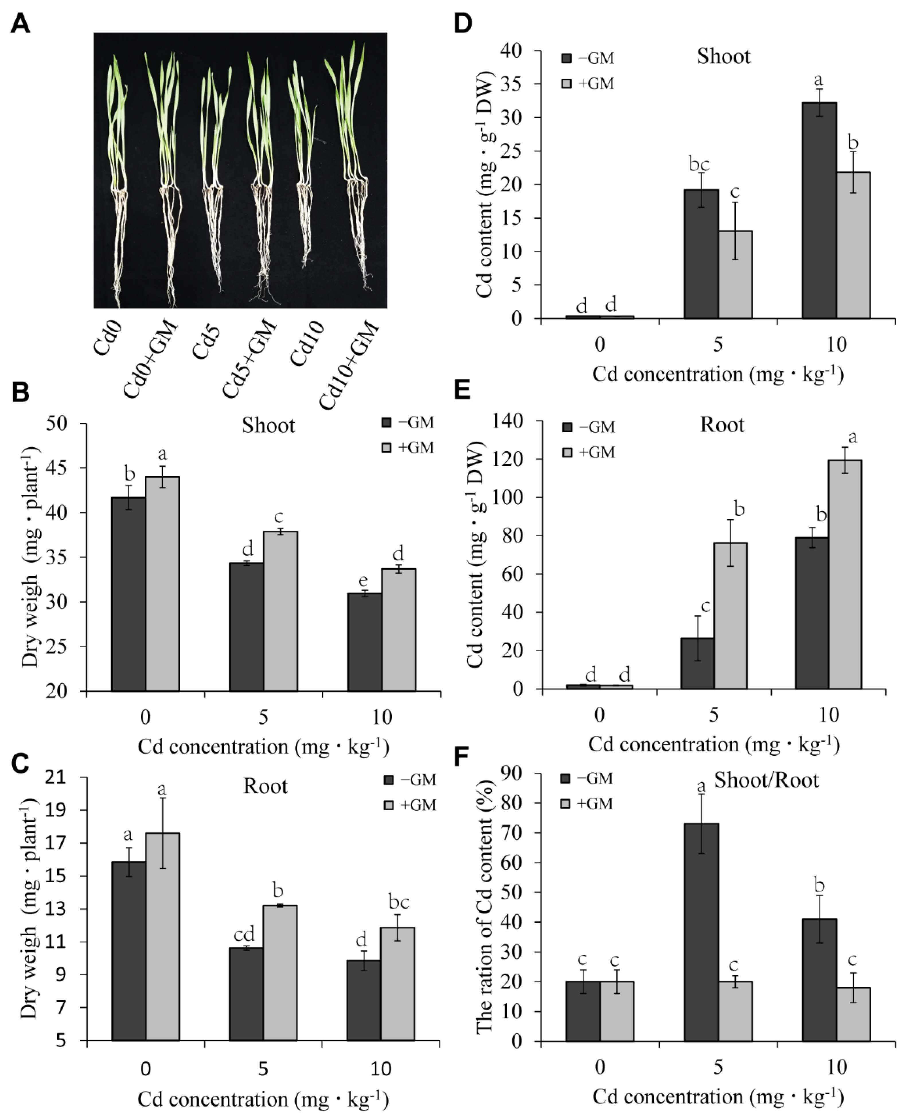 Antioxidants 11 02390 g001 Antioxidants 11 02390 g001