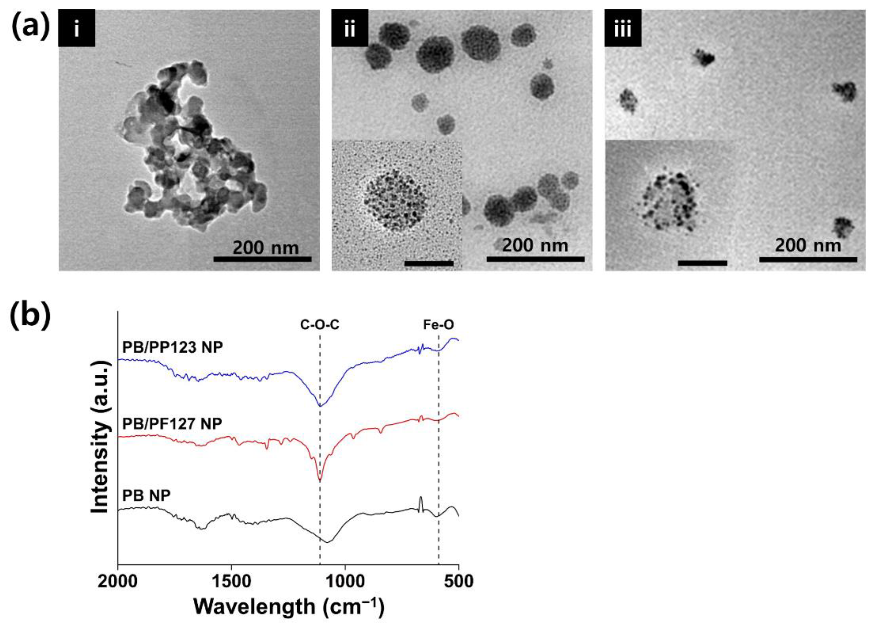 Antioxidants 11 02392 g003
