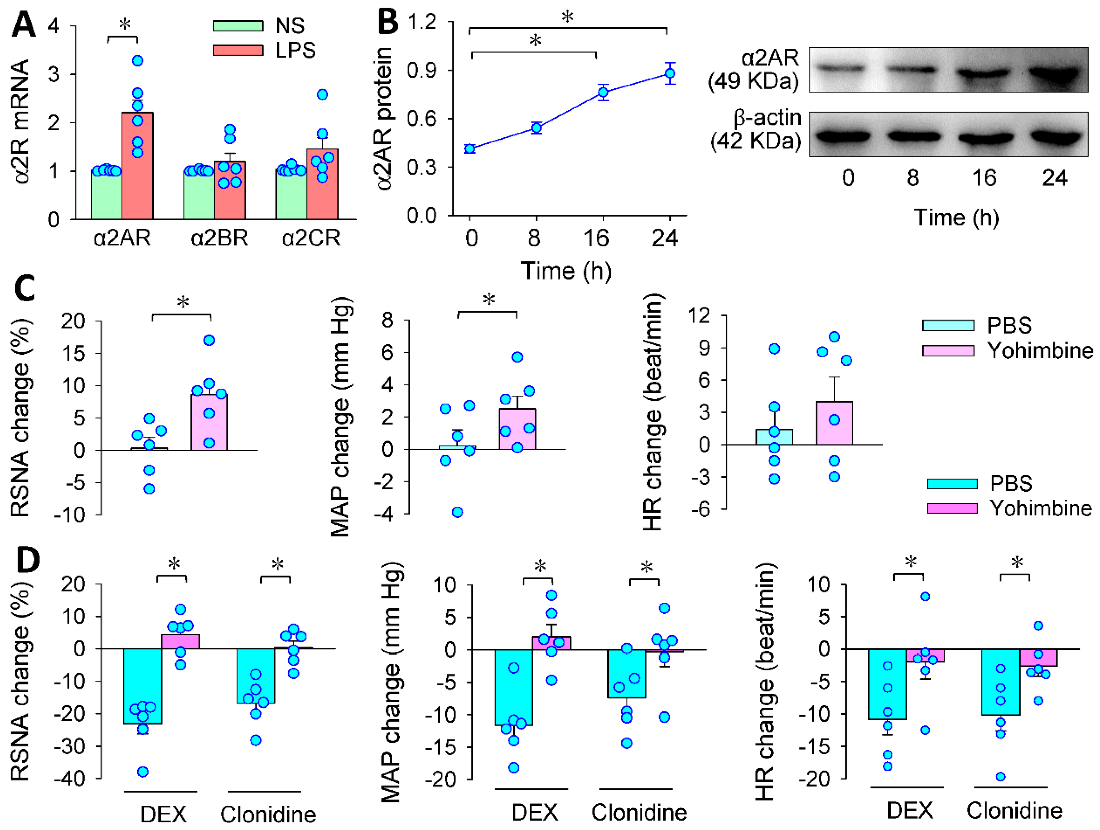 Antioxidants 11 02395 g003
