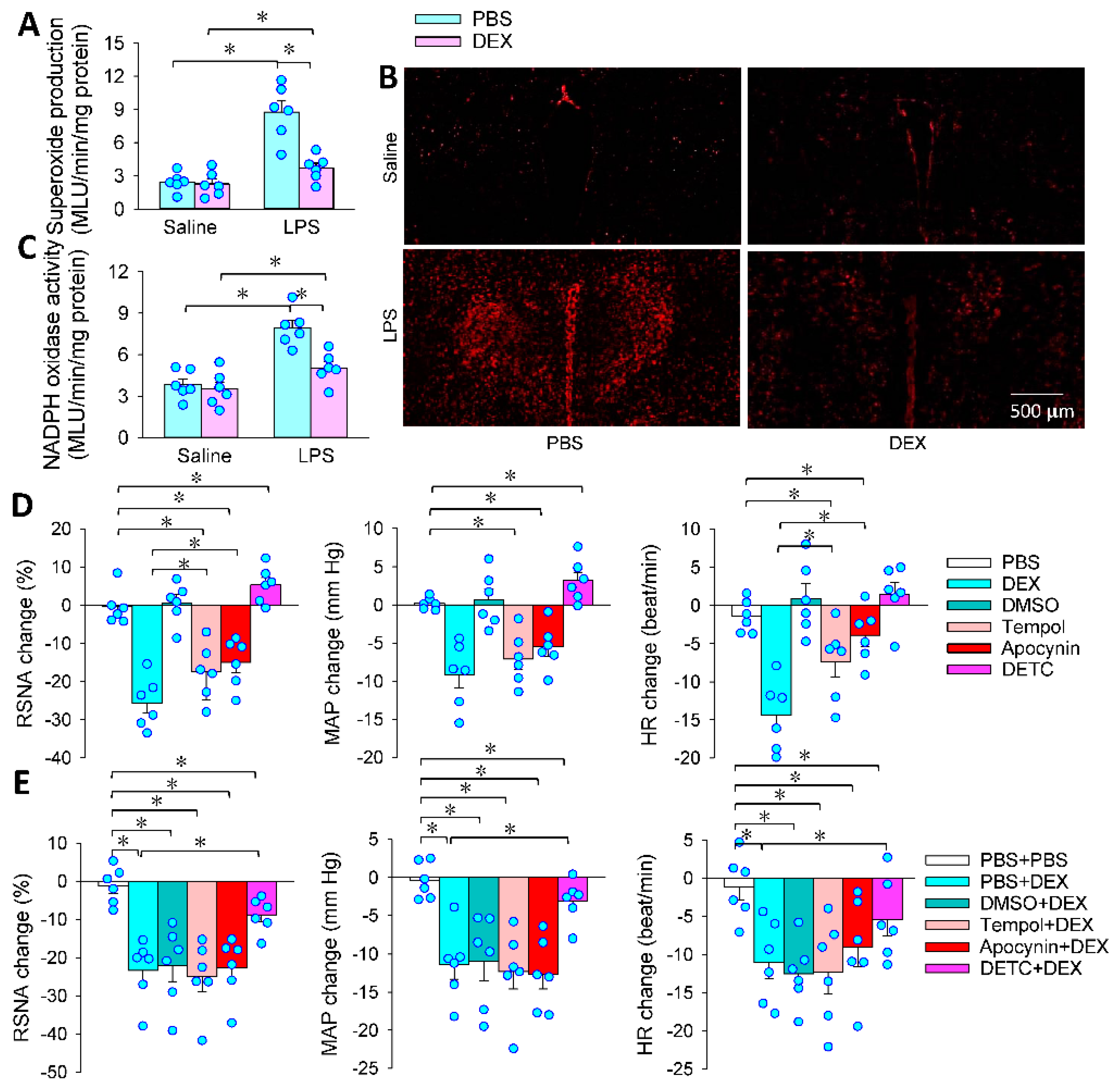 Antioxidants 11 02395 g004