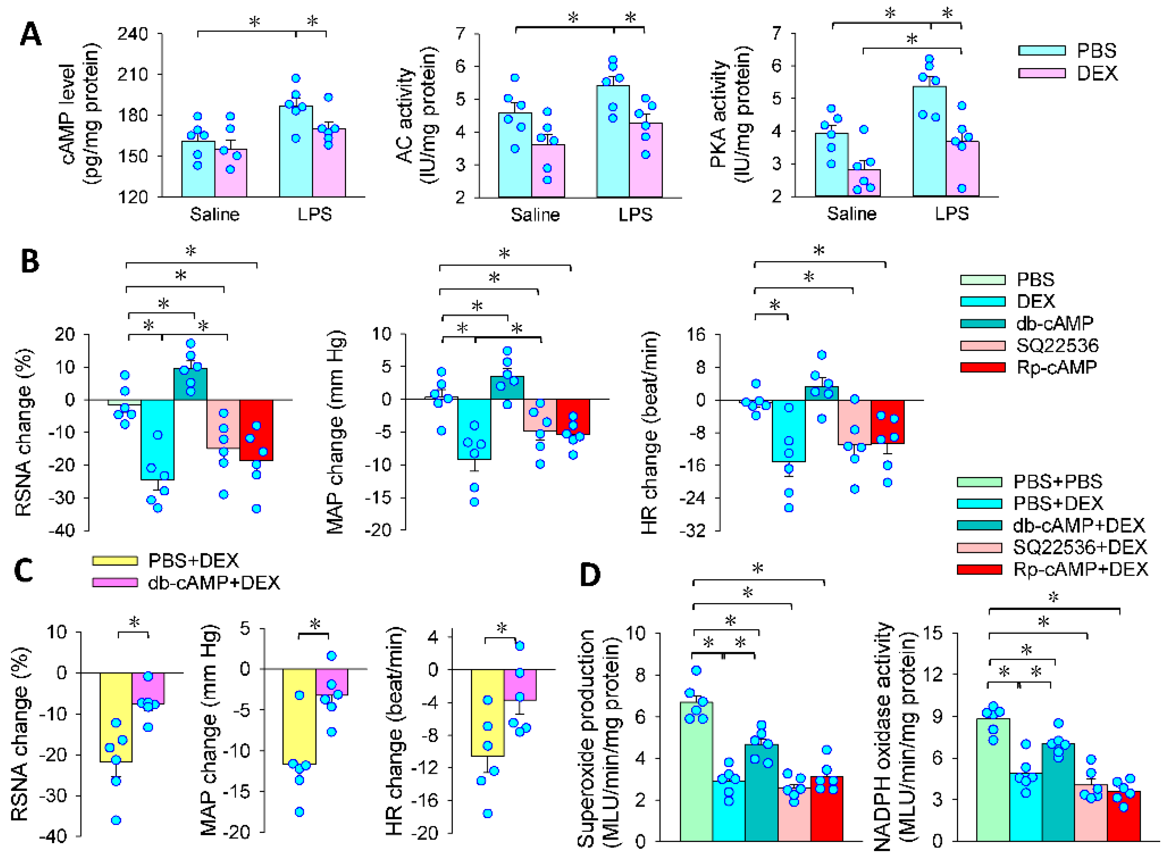 Antioxidants 11 02395 g005