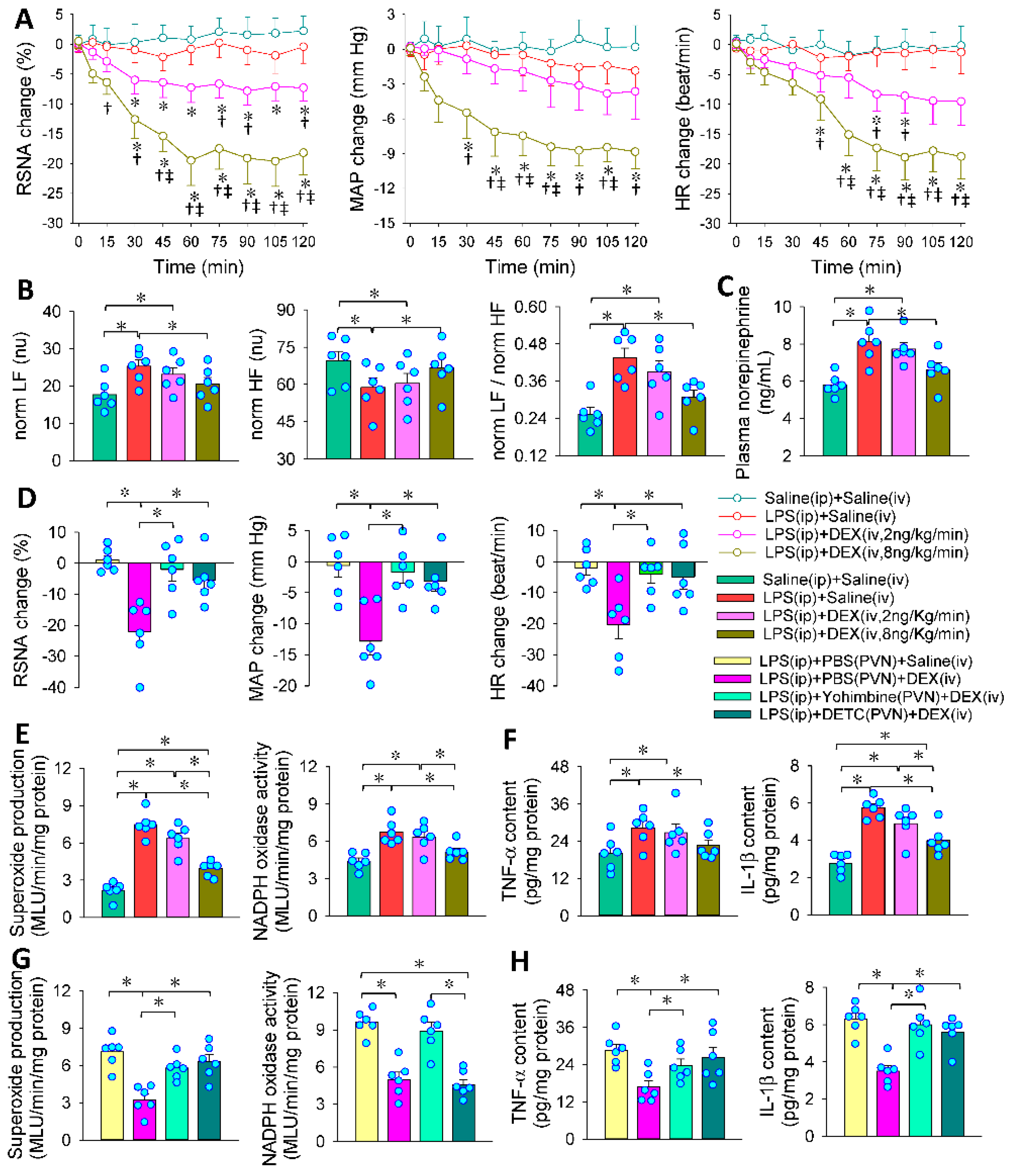 Antioxidants 11 02395 g007