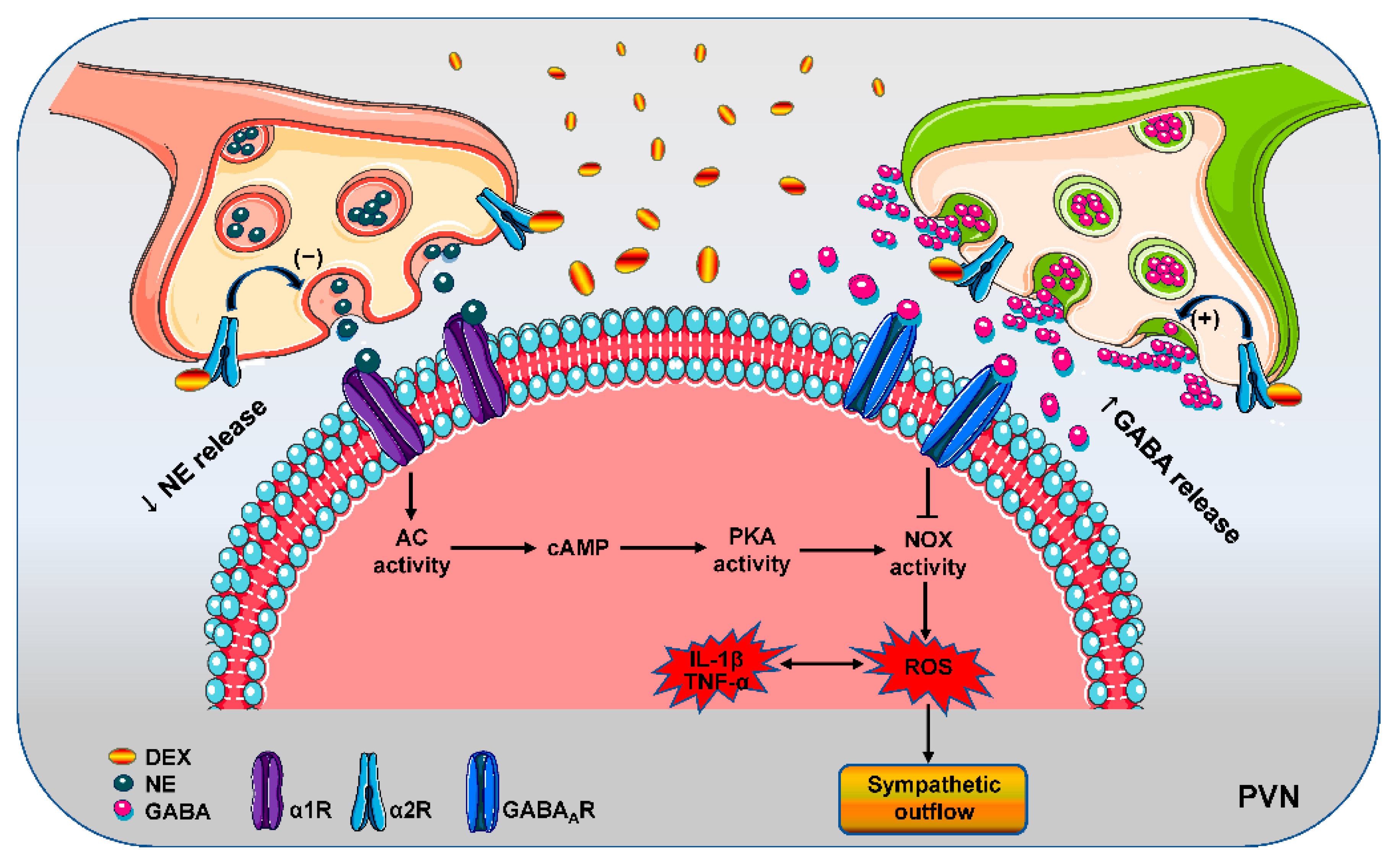 Antioxidants 11 02395 g009