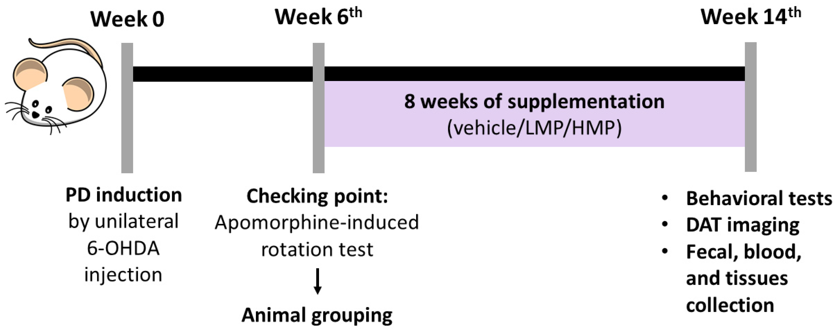 Antioxidants 11 02396 g001