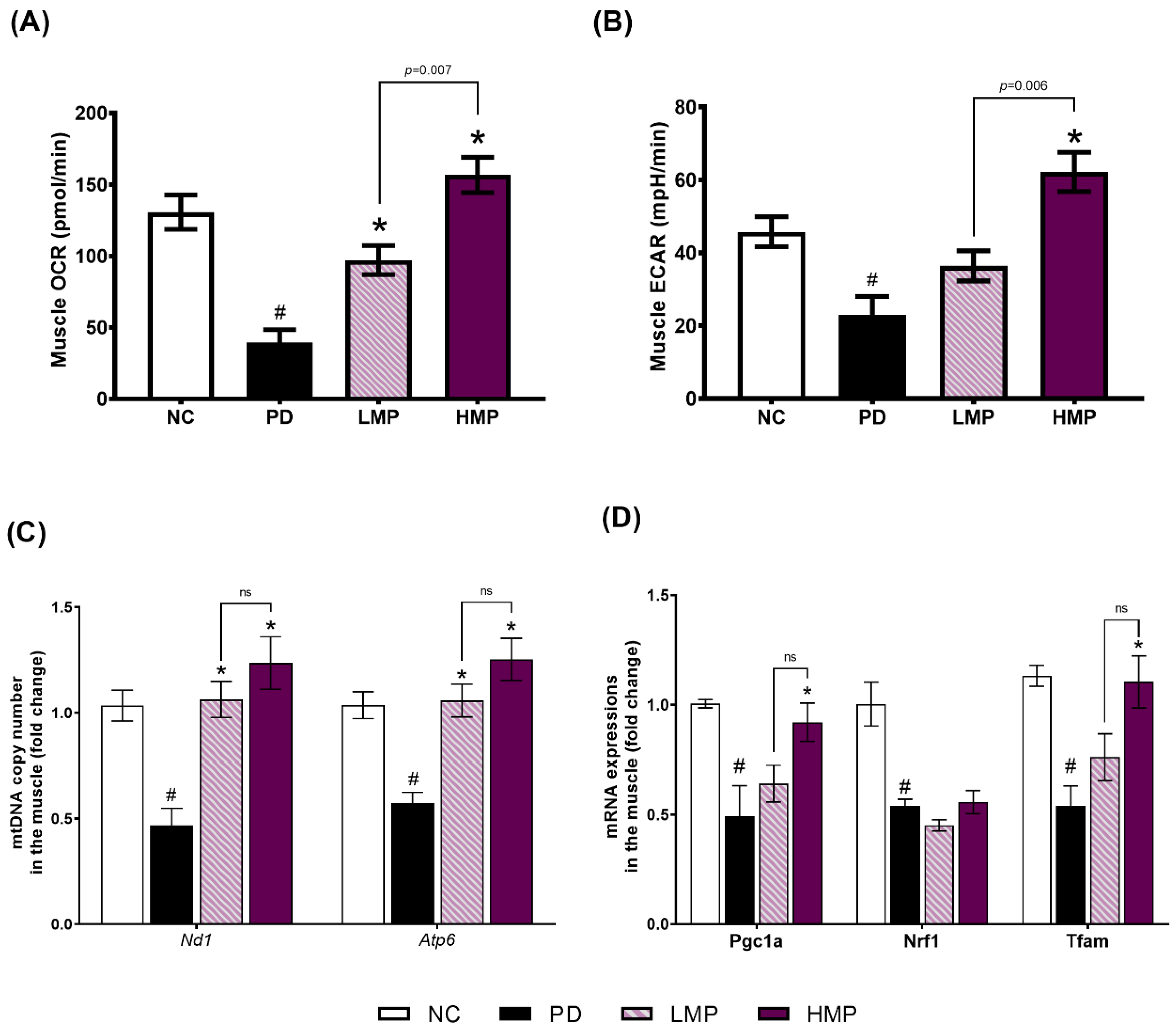 Antioxidants 11 02396 g005