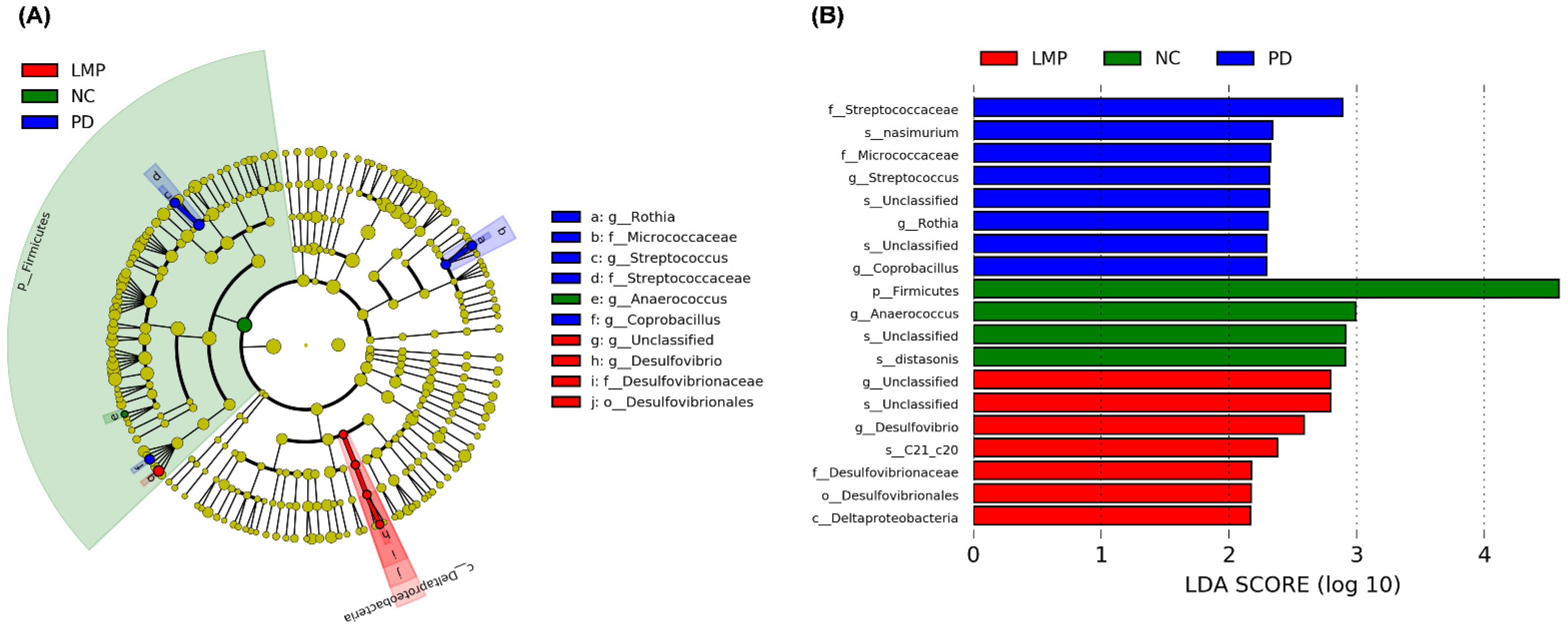 Antioxidants 11 02396 g007