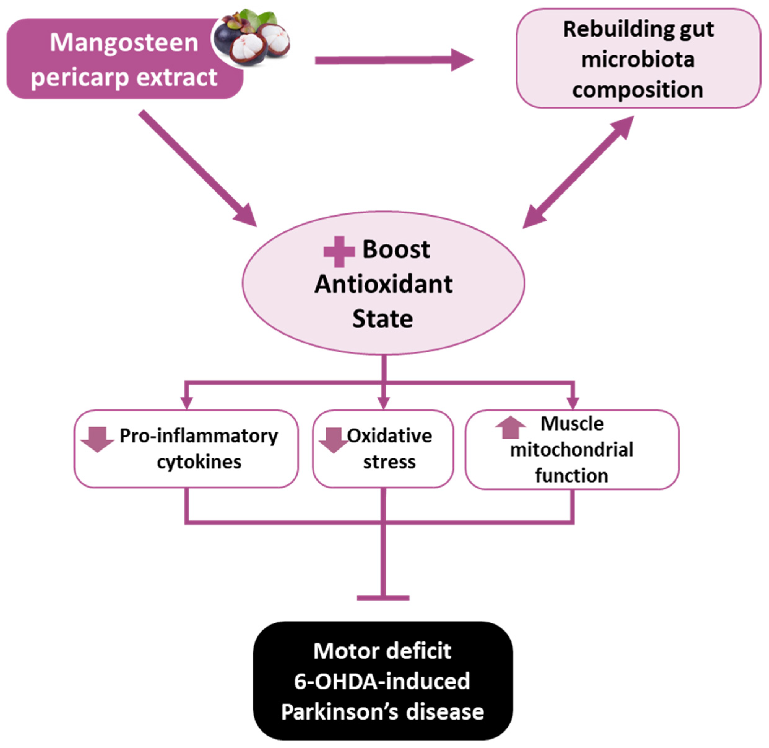 Antioxidants 11 02396 g010