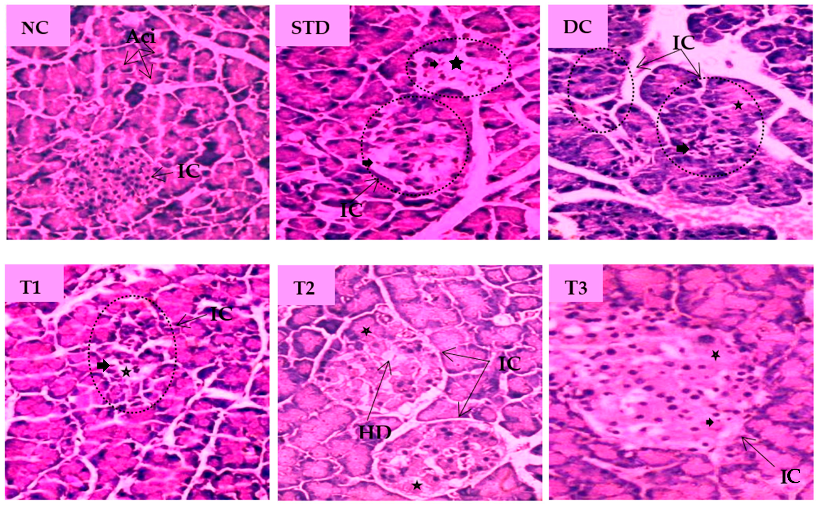 Antioxidants 11 02398 g005 Antioxidants 11 02398 g005