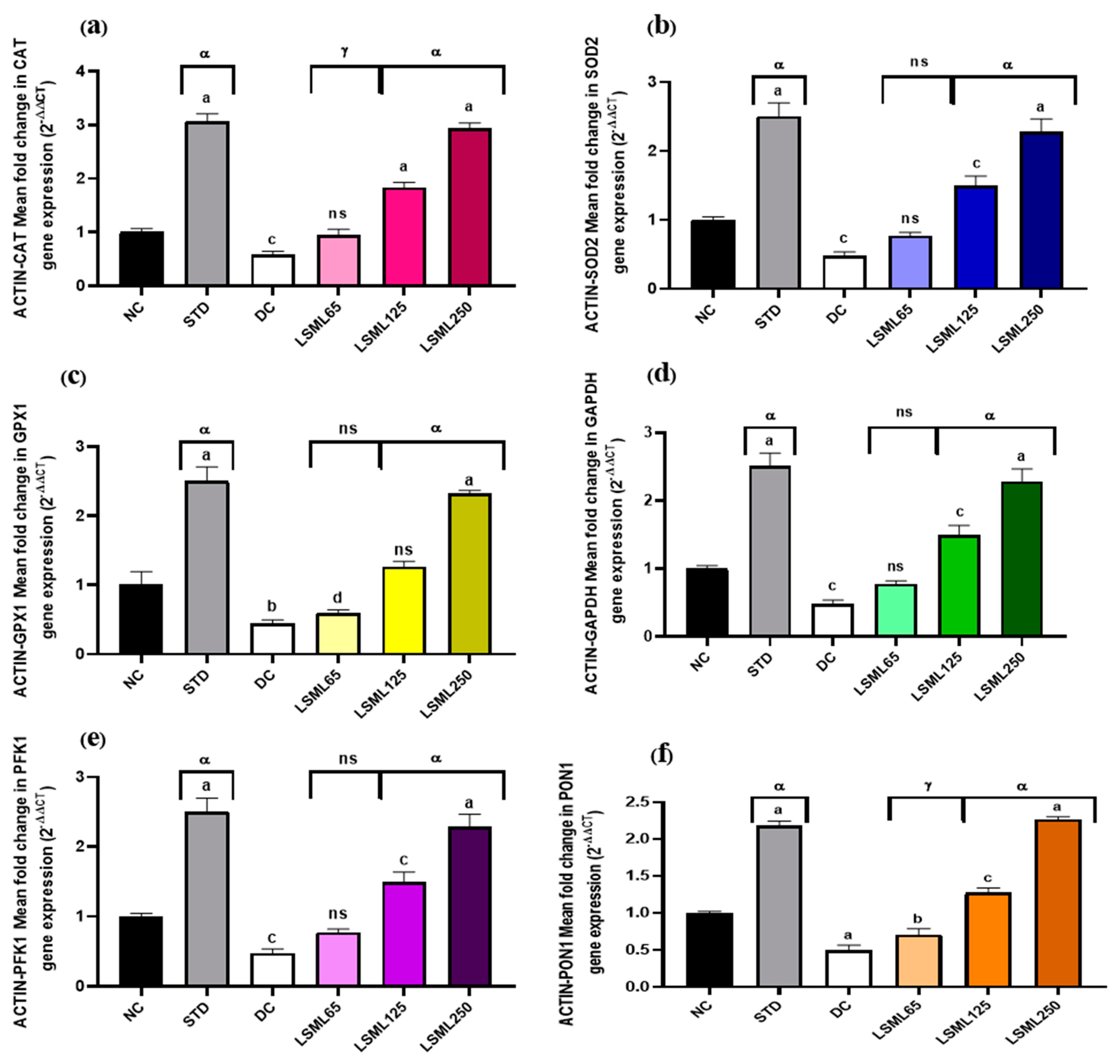 Antioxidants 11 02398 g010 Antioxidants 11 02398 g010