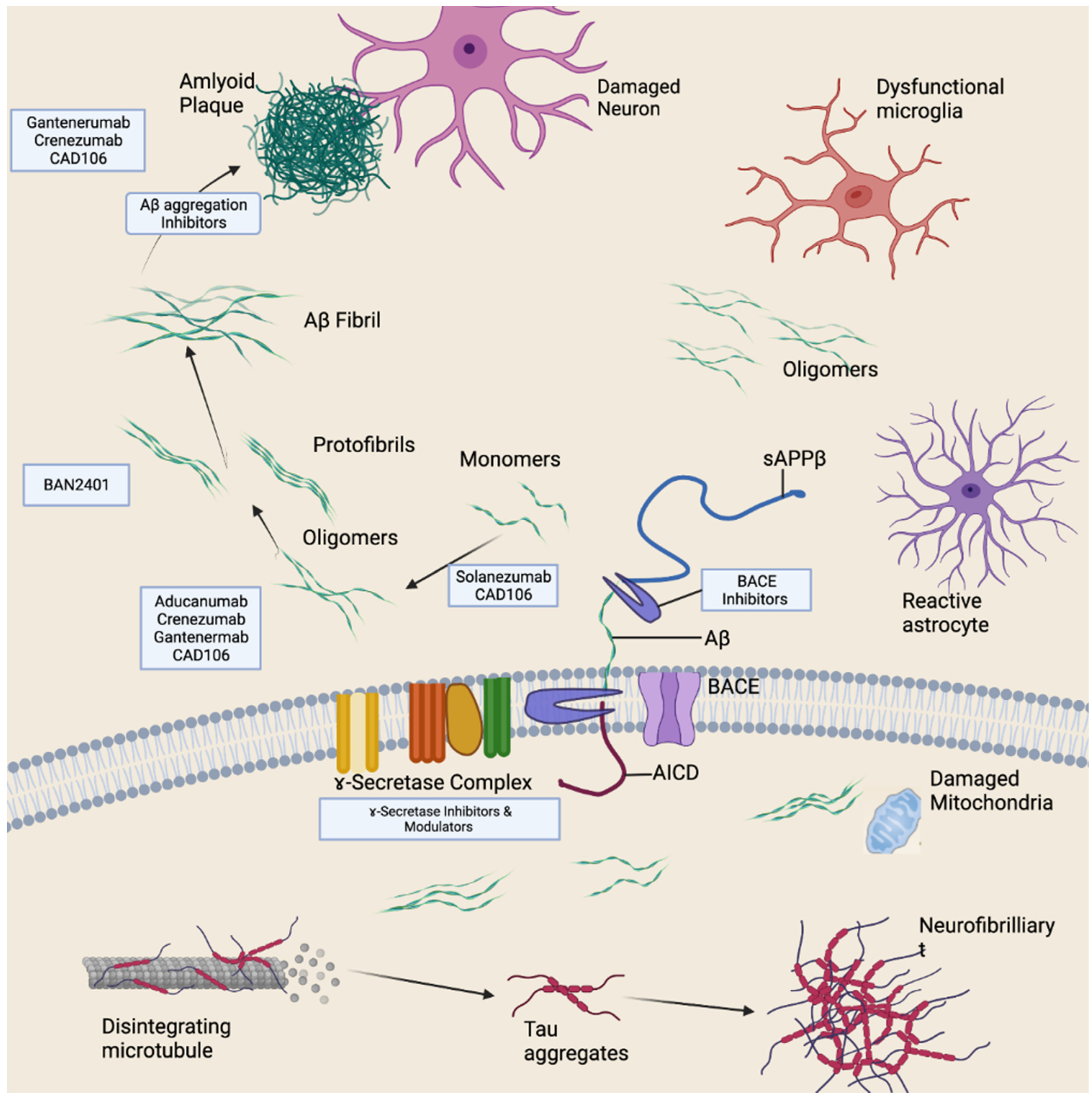 Antioxidants 11 02402 g004