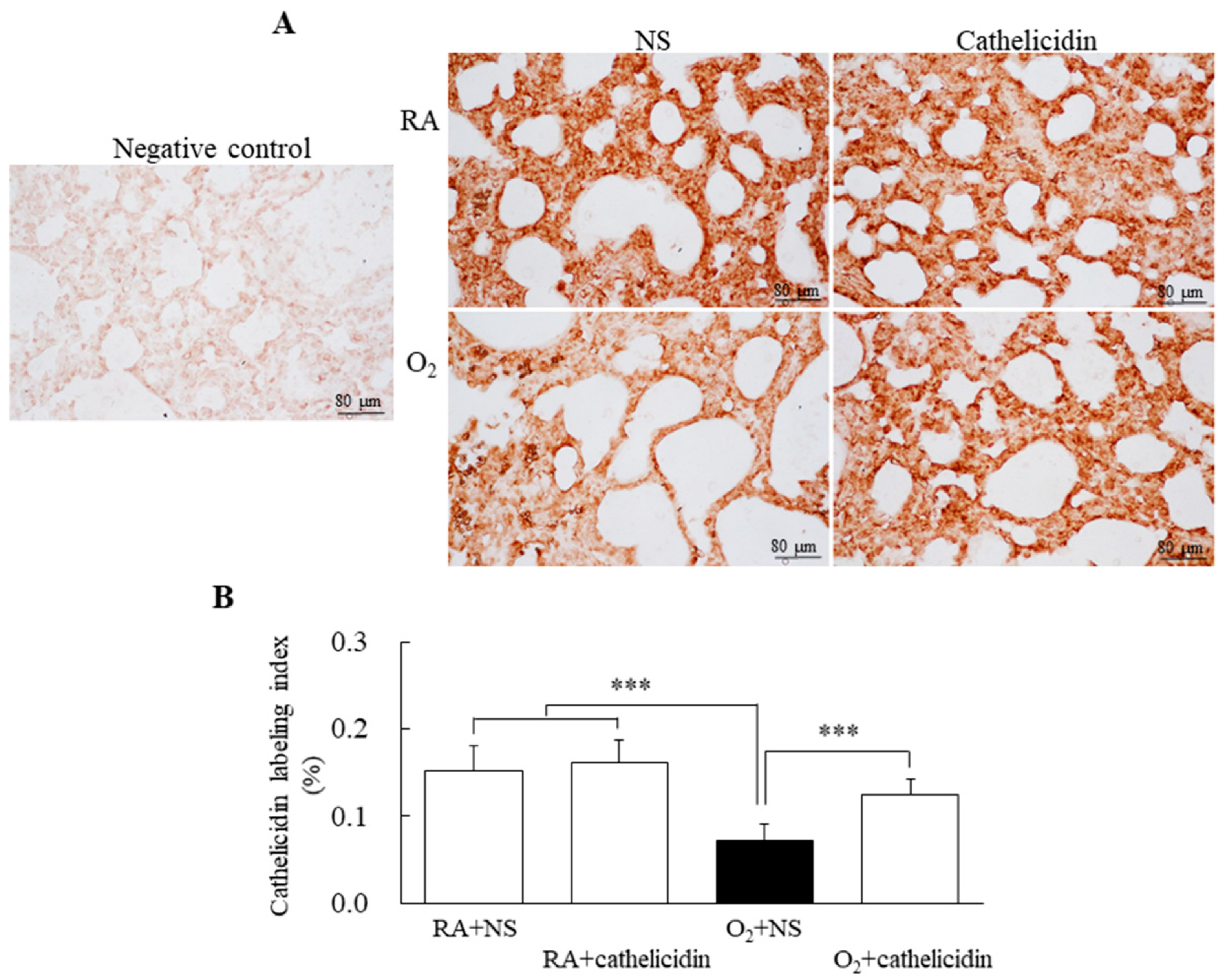 Antioxidants 11 02405 g002