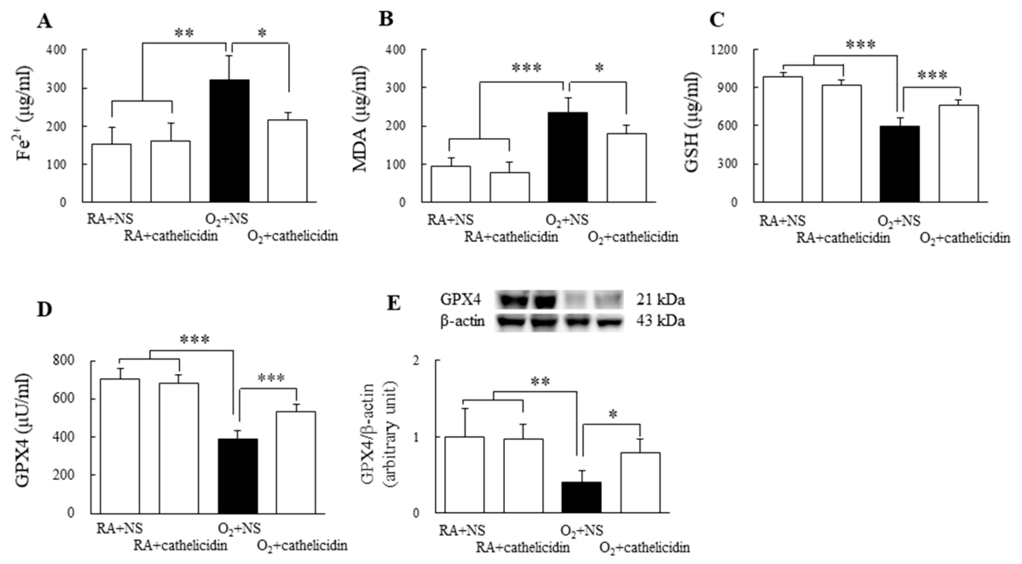 Antioxidants 11 02405 g003