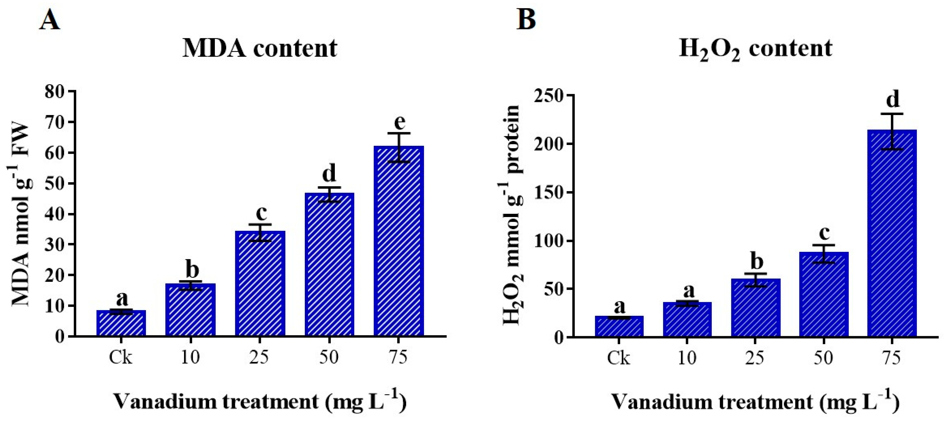 Antioxidants 11 02407 g005 Antioxidants 11 02407 g005