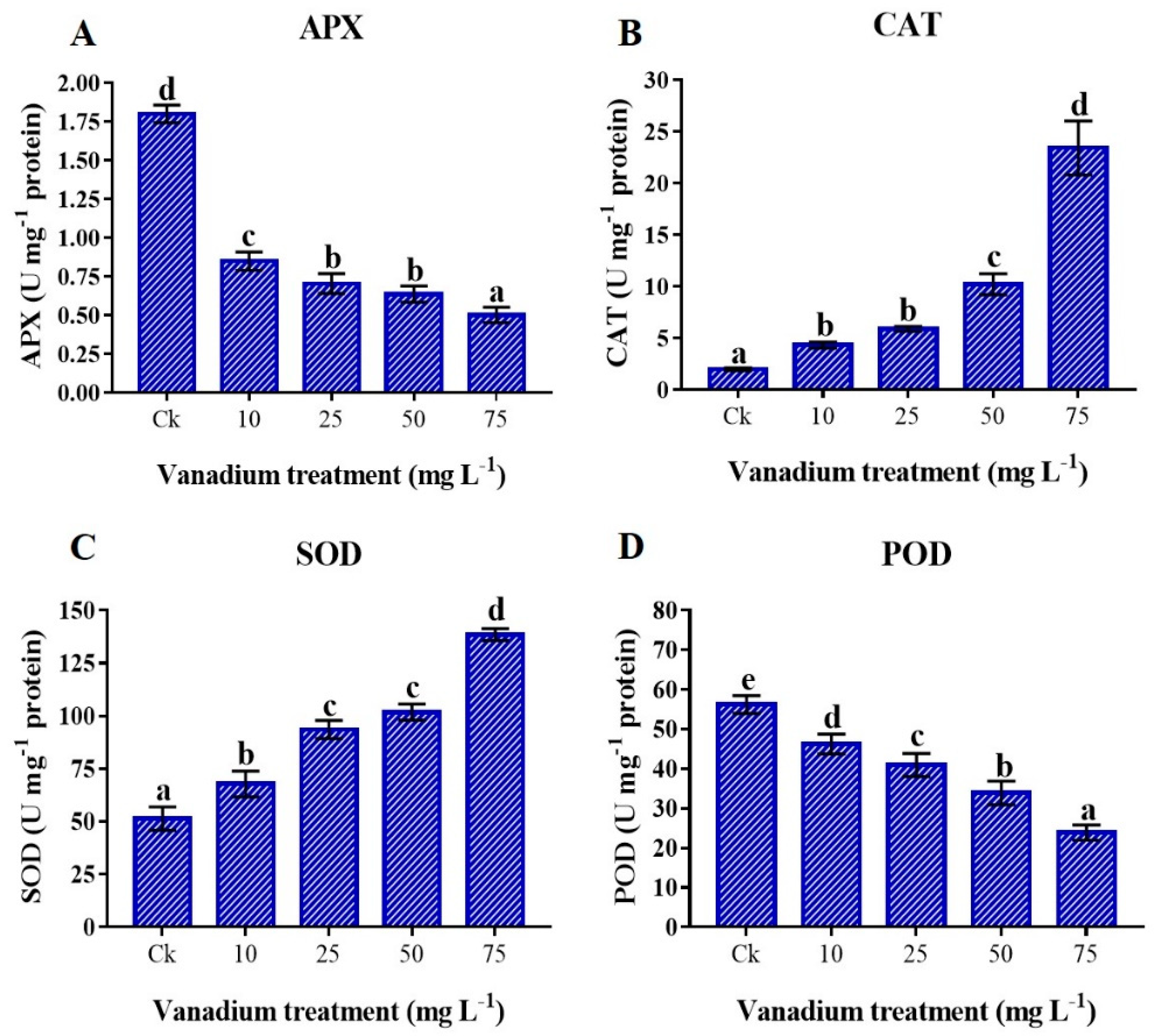 Antioxidants 11 02407 g008 Antioxidants 11 02407 g008