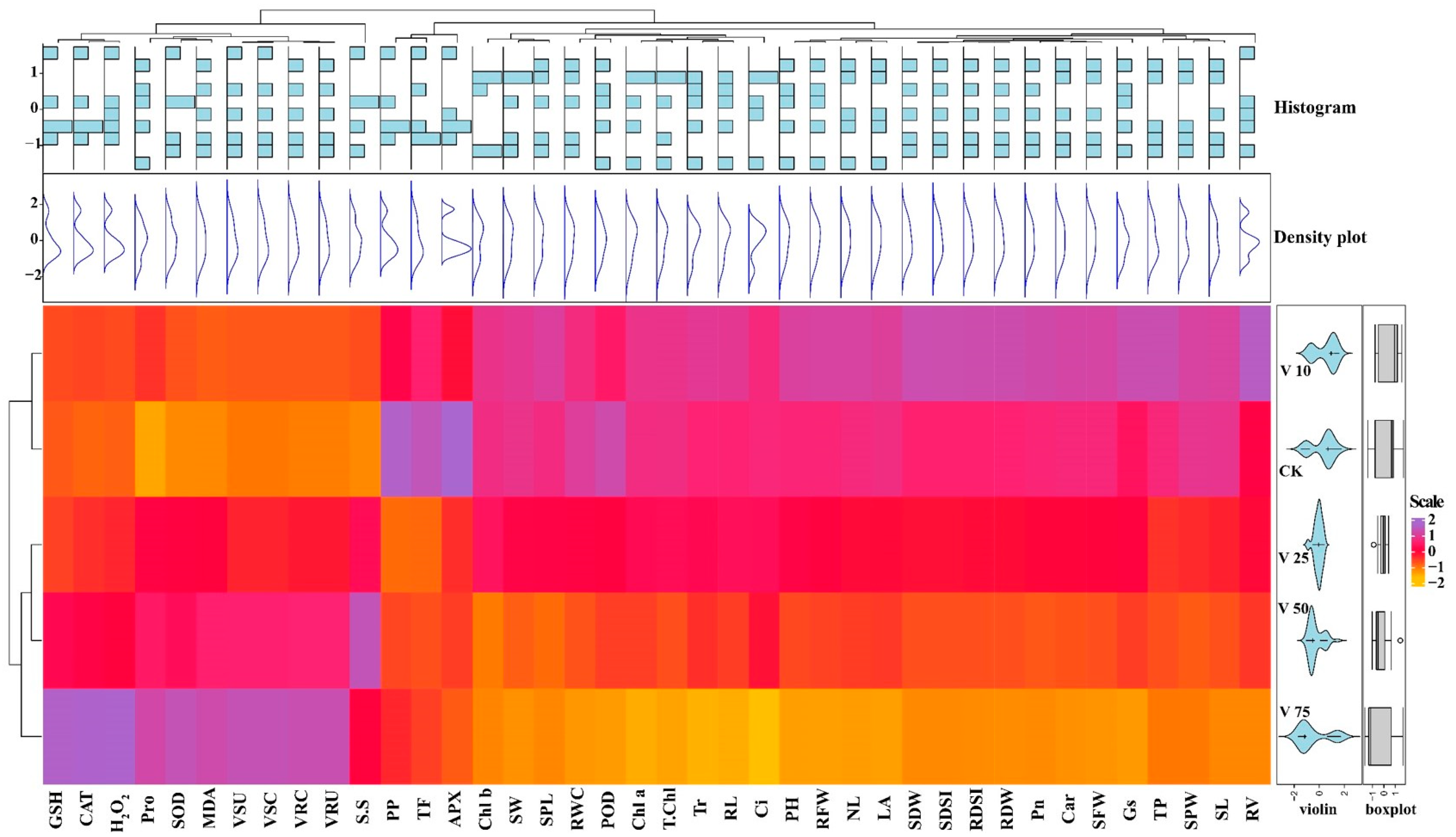 Antioxidants 11 02407 g011 Antioxidants 11 02407 g011