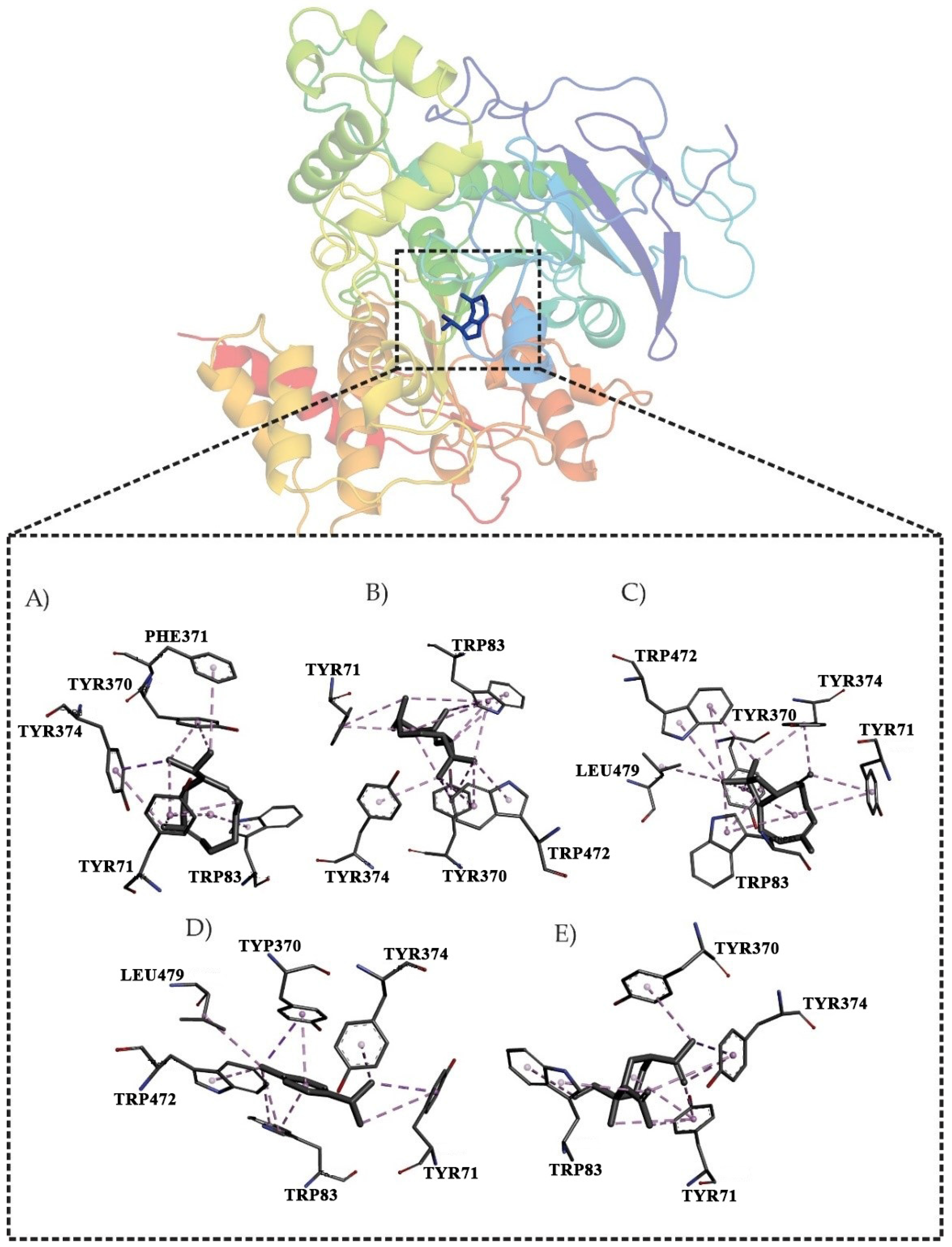 Antioxidants 11 02410 g001 Antioxidants 11 02410 g001