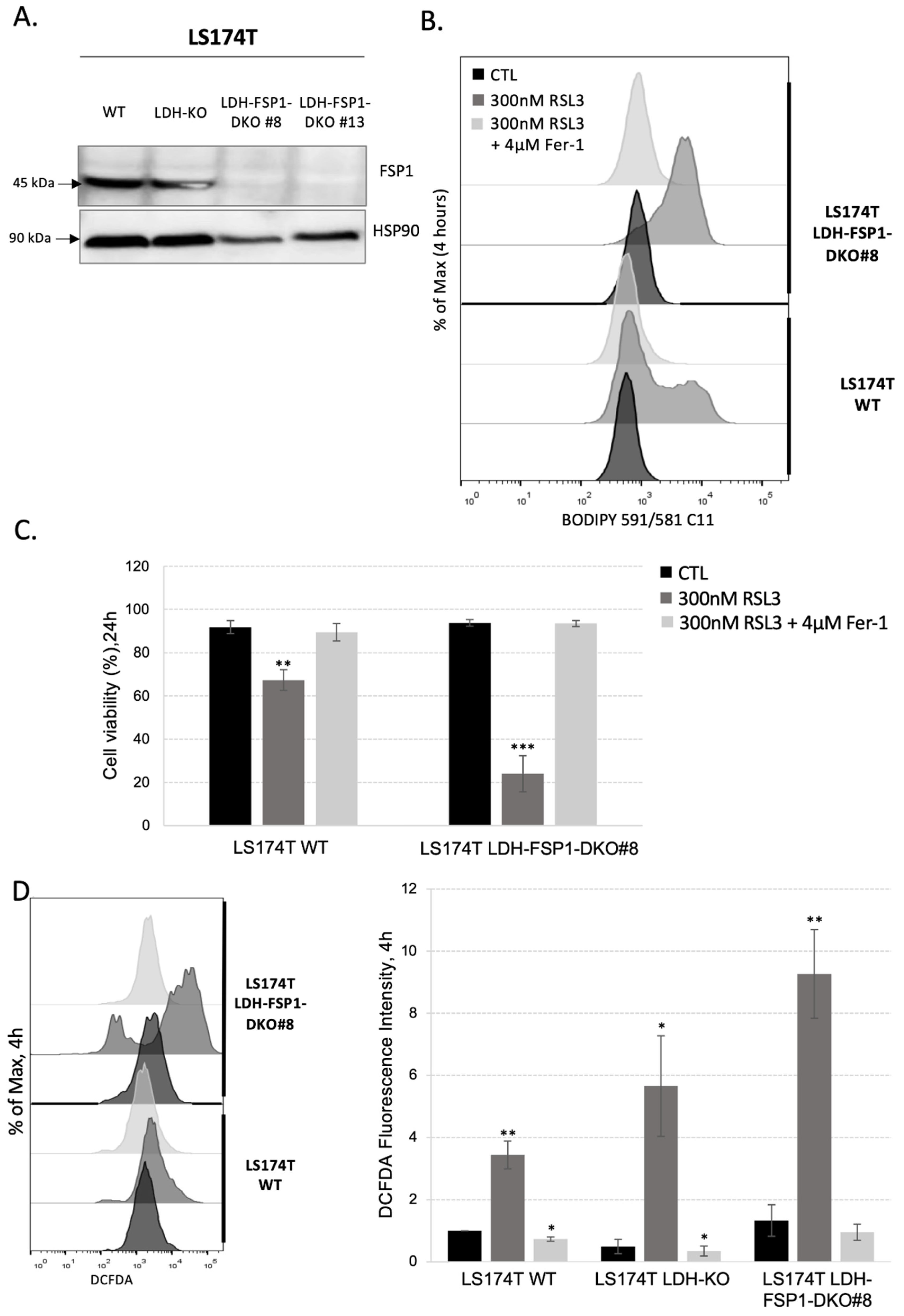 Antioxidants 11 02412 g004