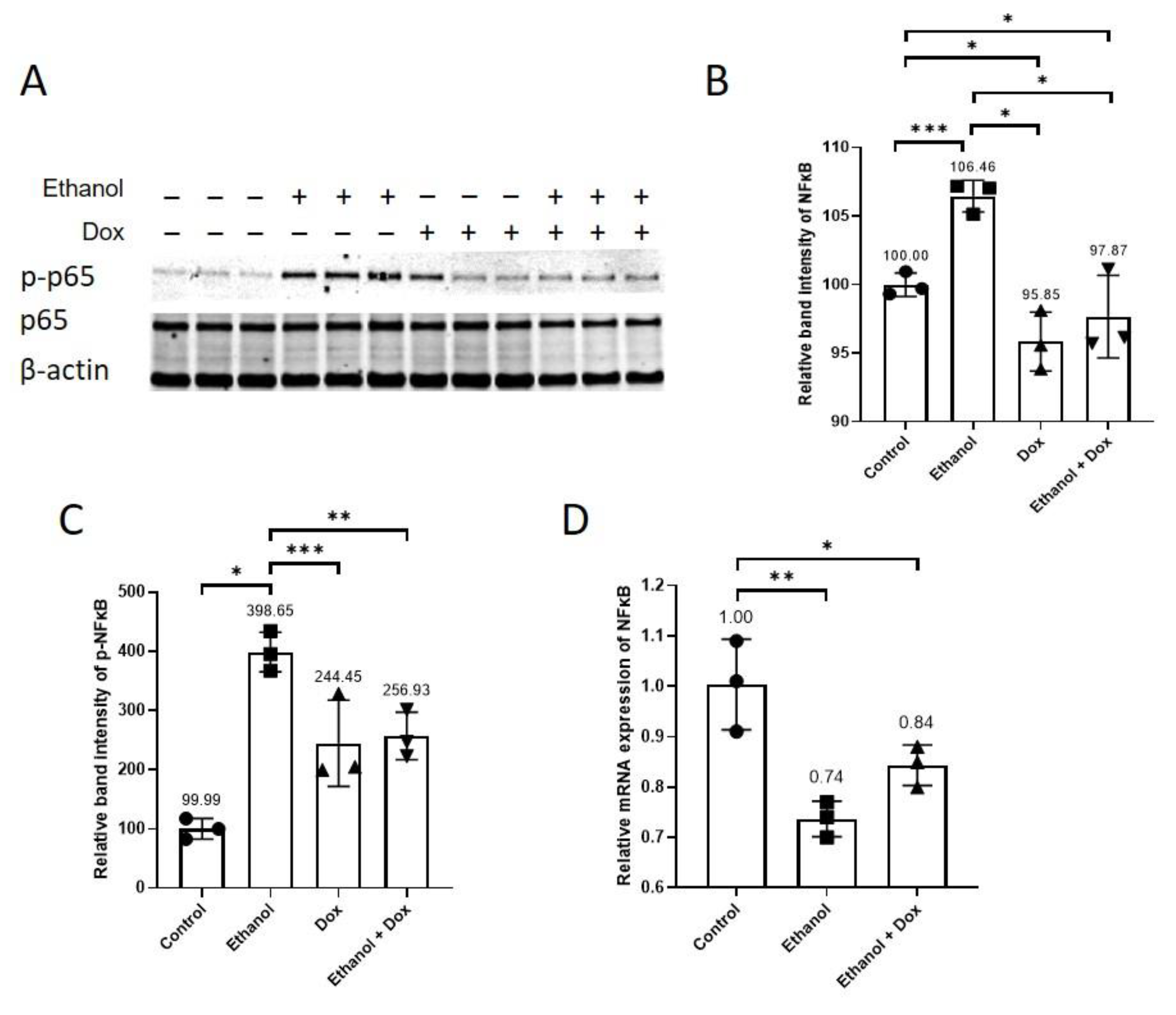 Antioxidants 11 02413 g003 Antioxidants 11 02413 g003