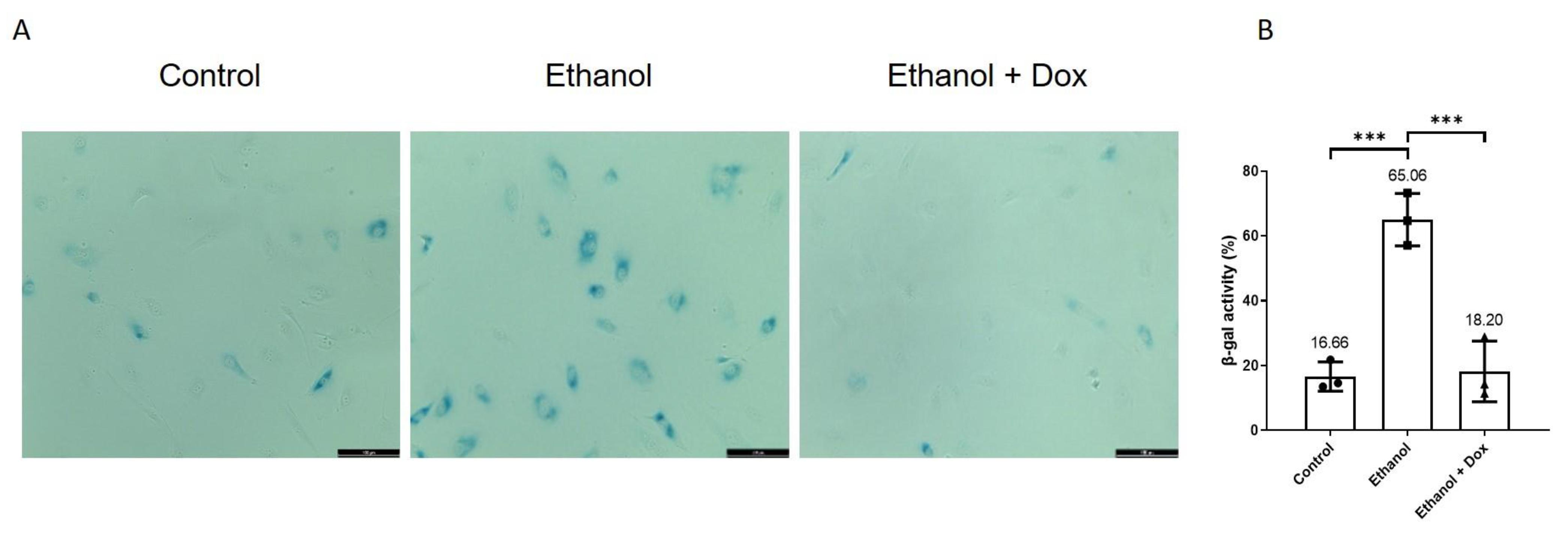 Antioxidants 11 02413 g005 Antioxidants 11 02413 g005