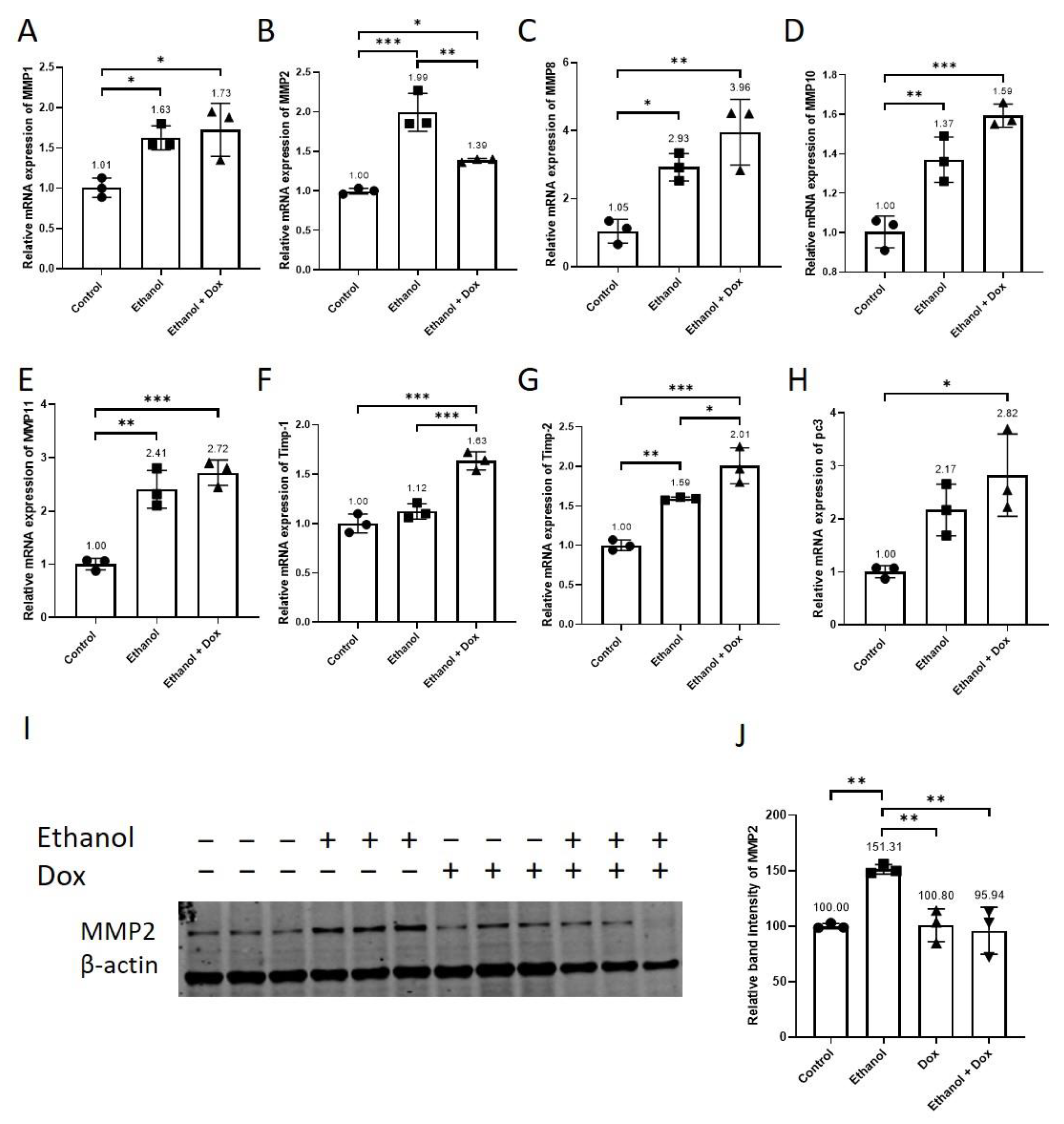 Antioxidants 11 02413 g007 Antioxidants 11 02413 g007
